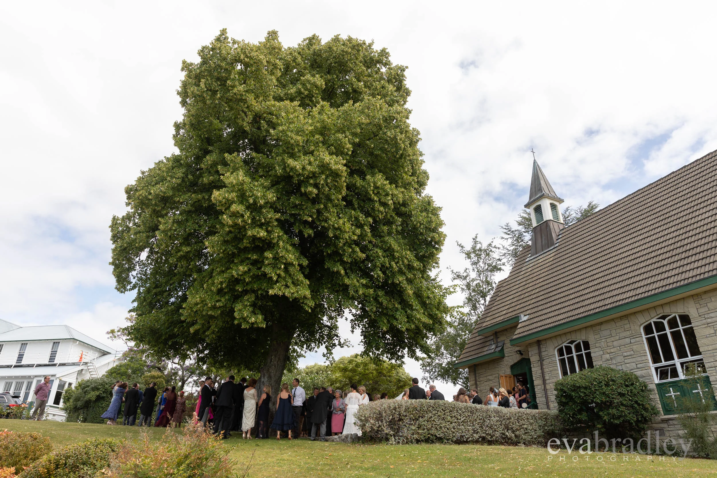 Eva Bradley hawkes bay photographer