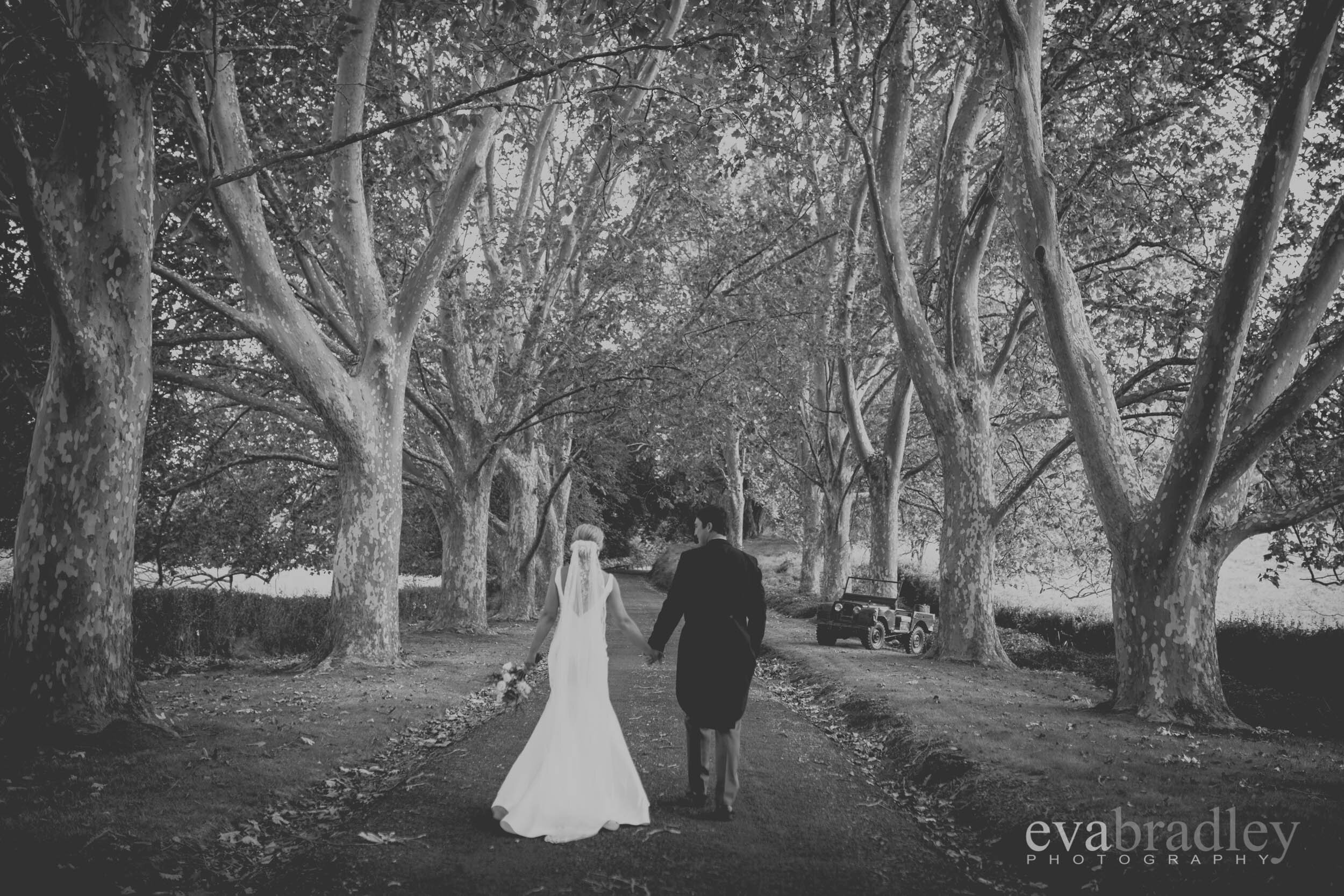 best hawkes bay photographer