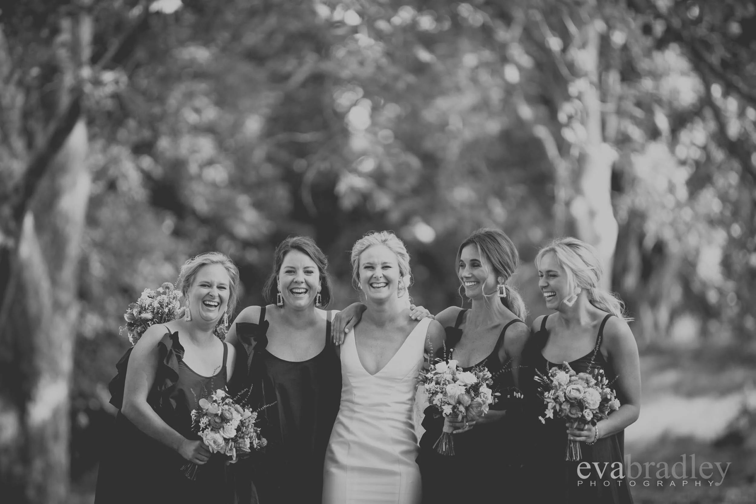 New Zealand wedding photographers