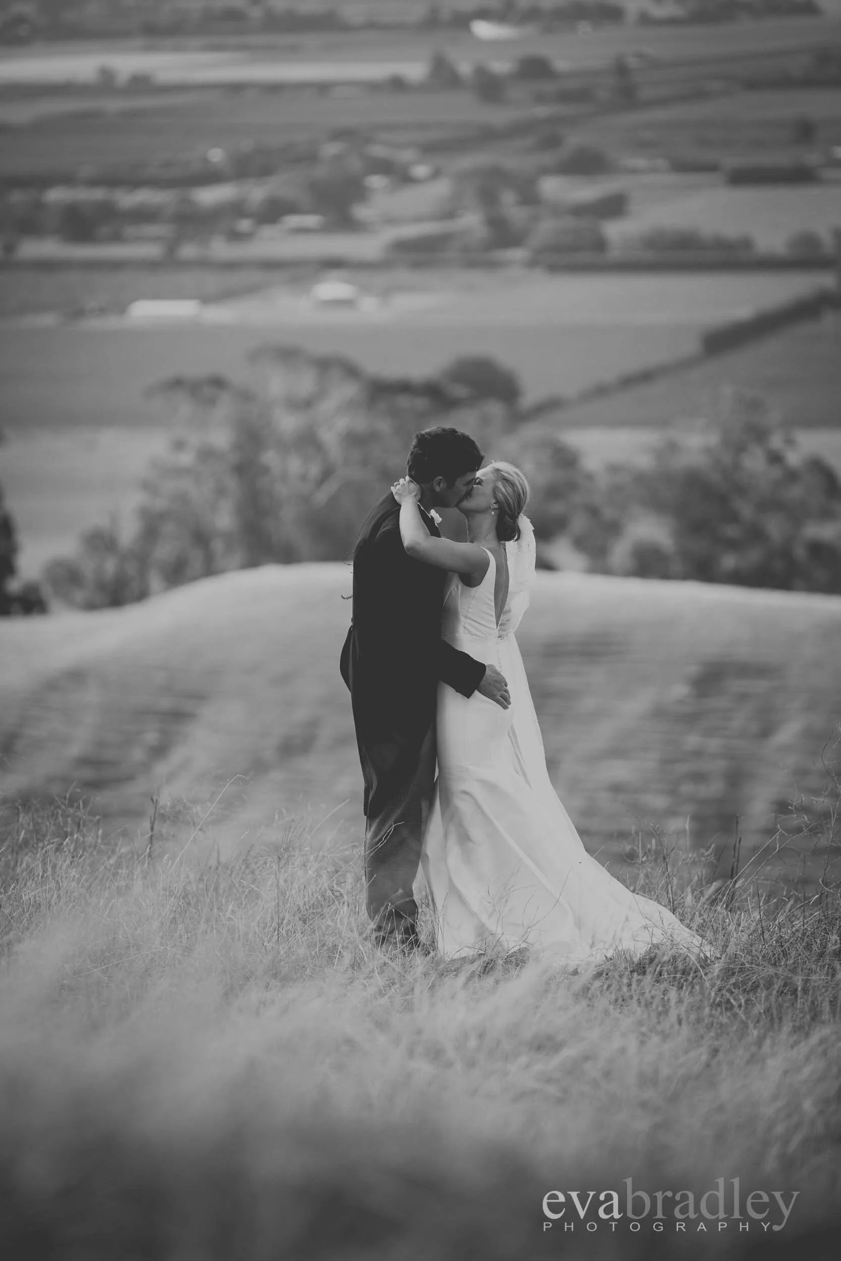 one day bridal napier wedding photographers