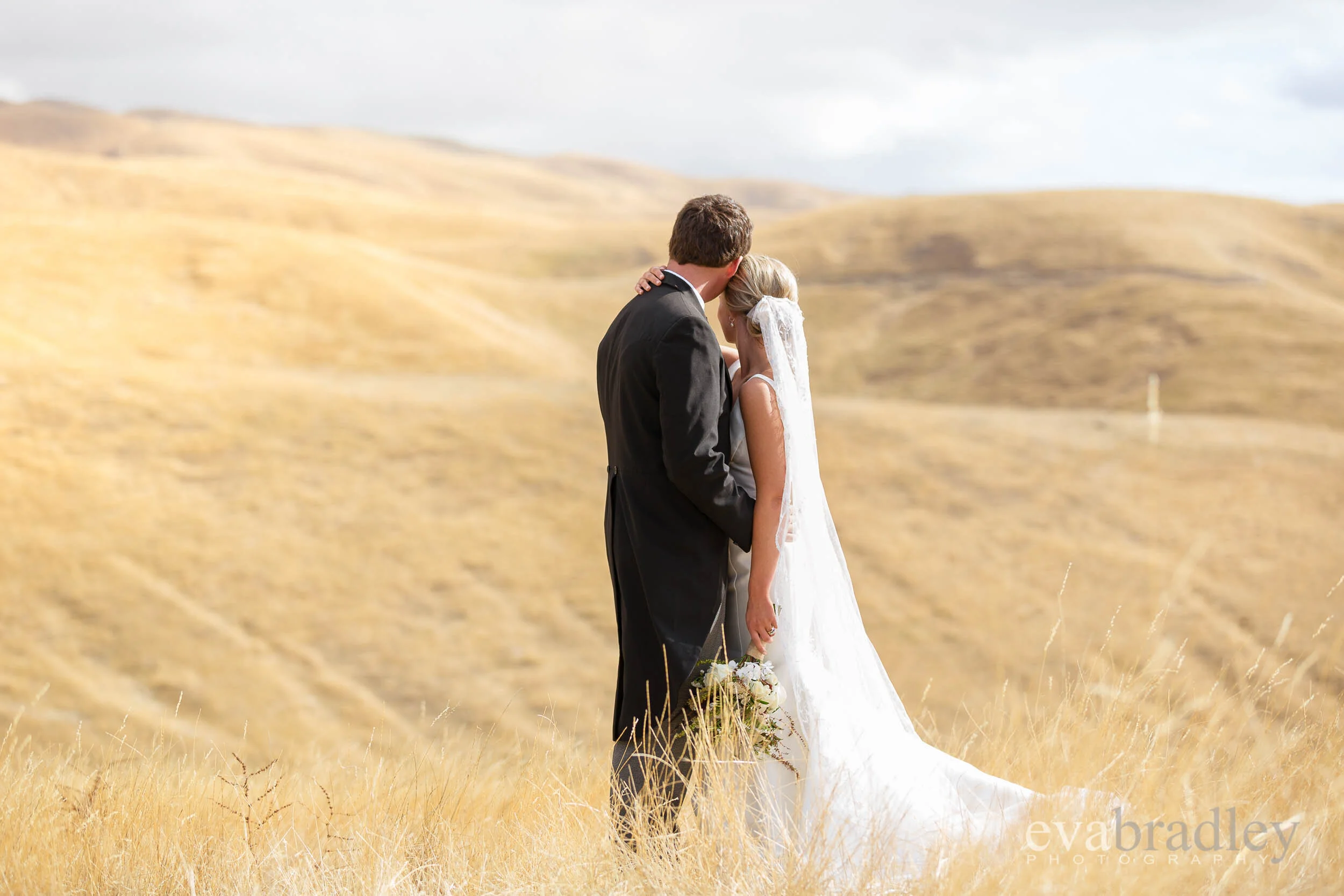 one day bridal hawkes bay wedding