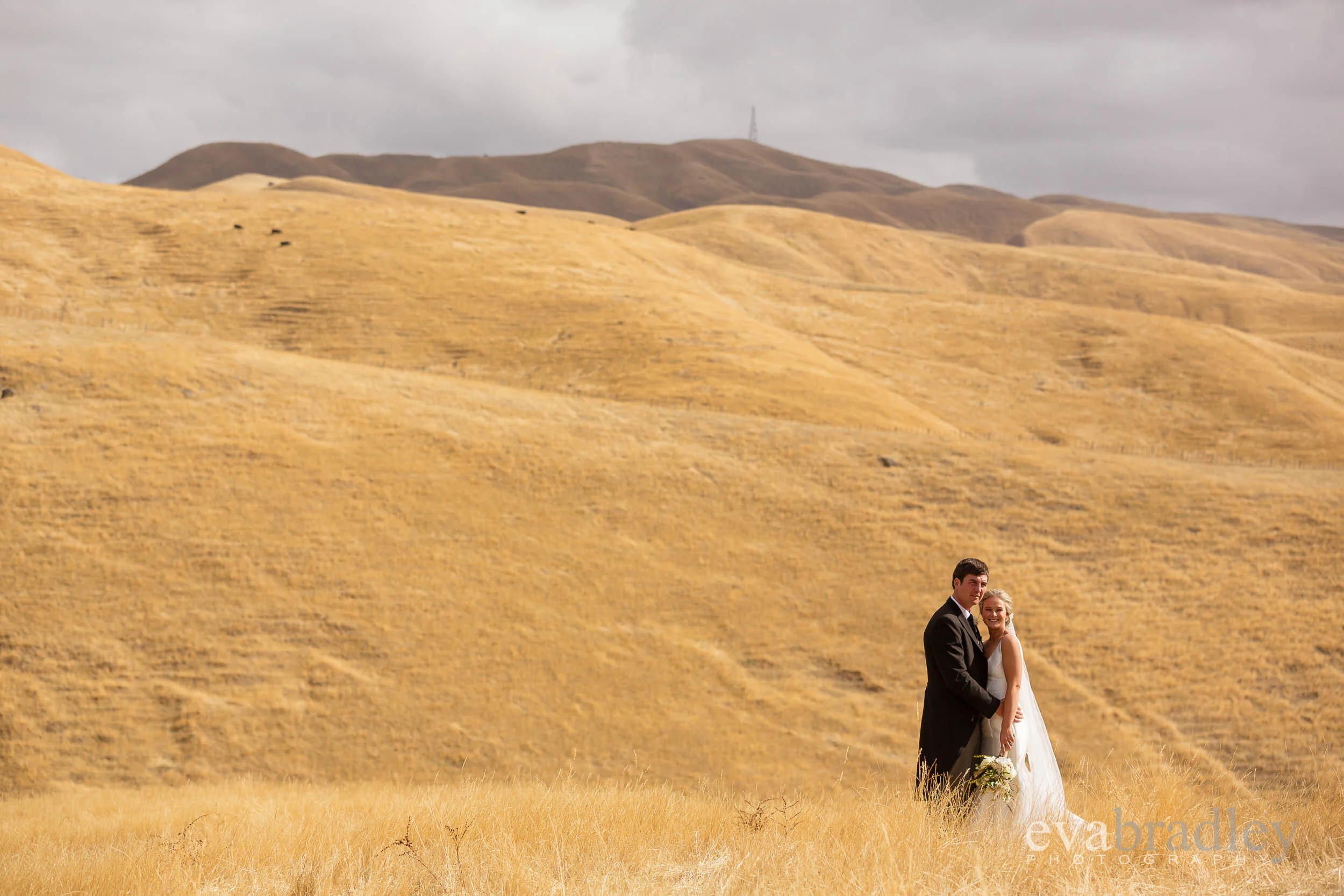 hawkes bay wedding dress