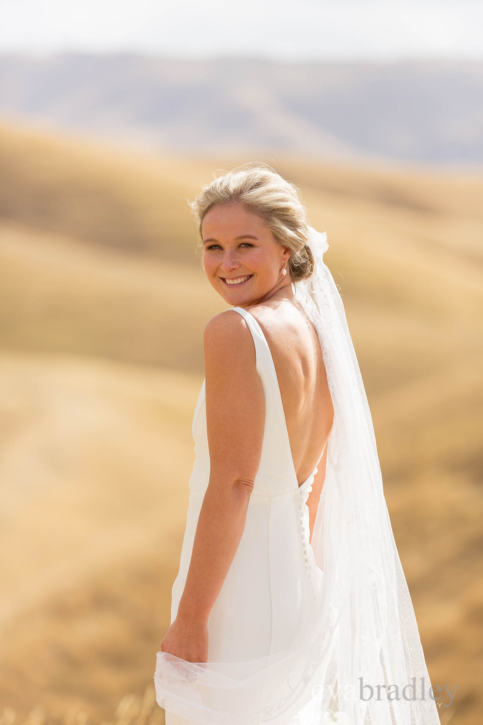 new zealand weddings nz