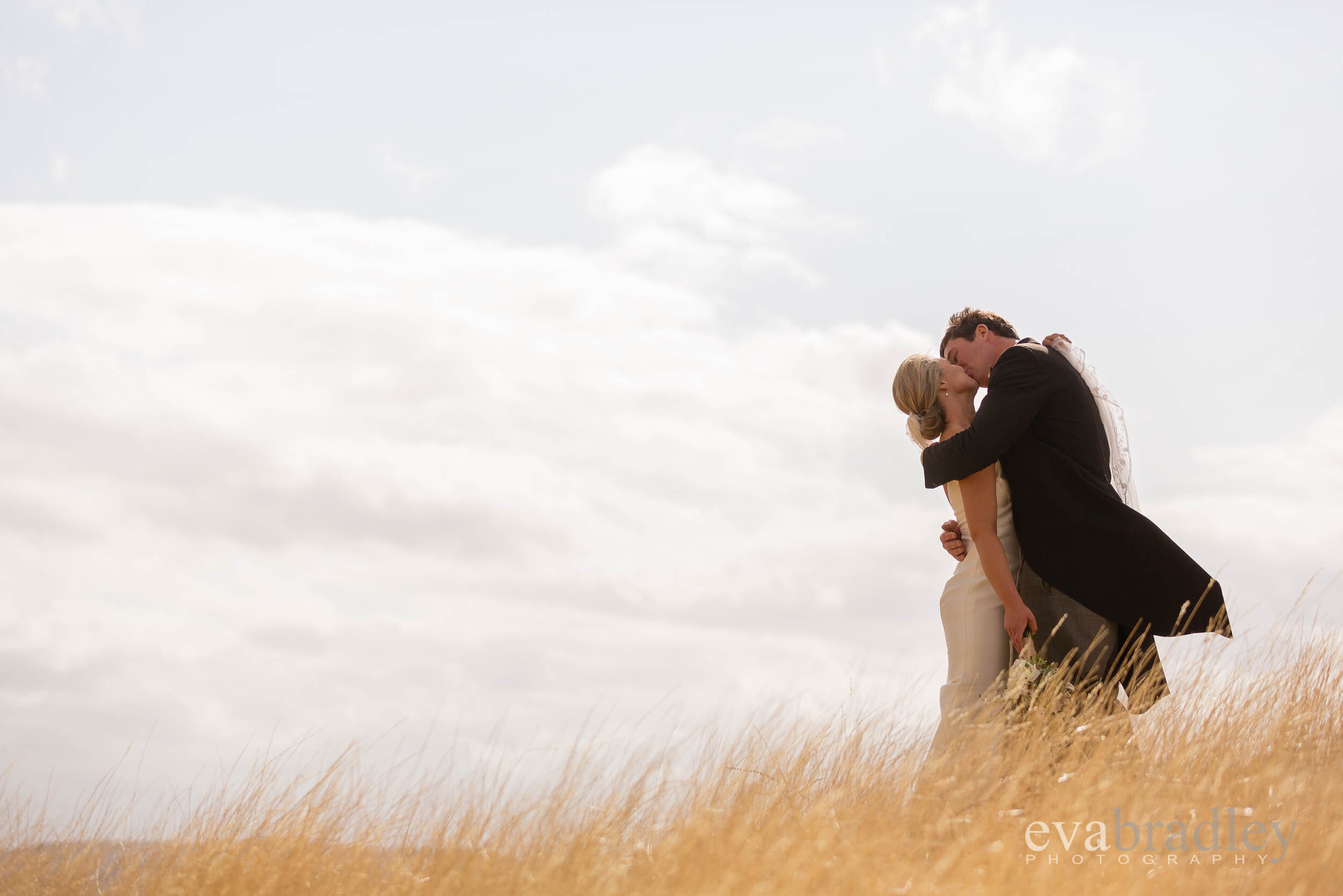 best wedding photographers in hawkes bay nz