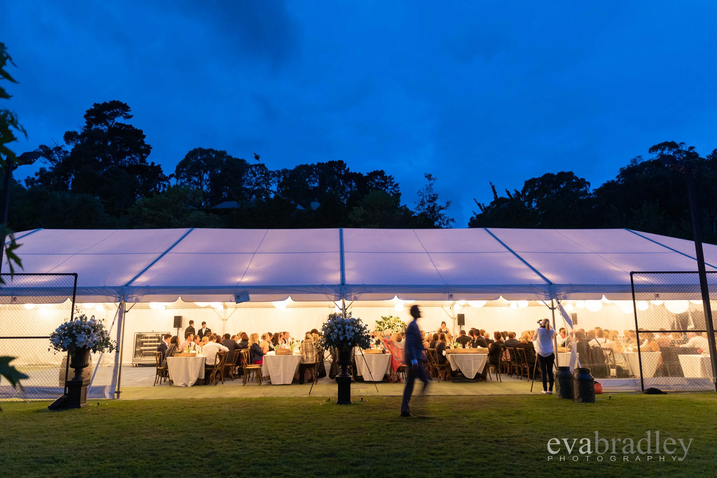 hawkes bay marquee mardigras