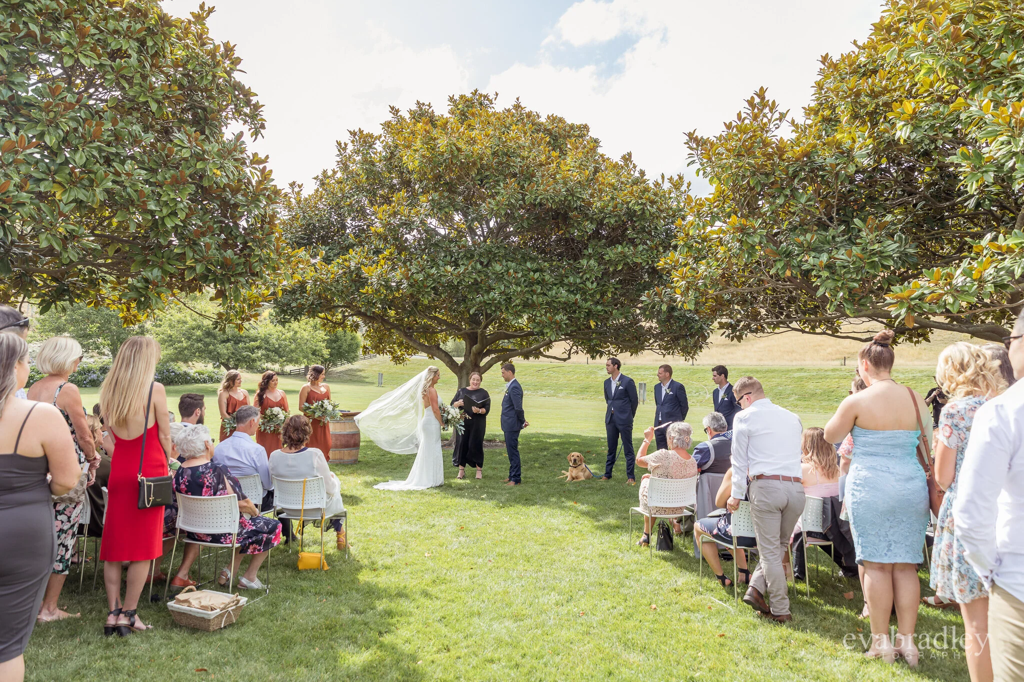 wedding at church road winery
