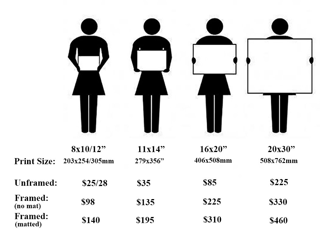 photo printing Hawke's Bay
