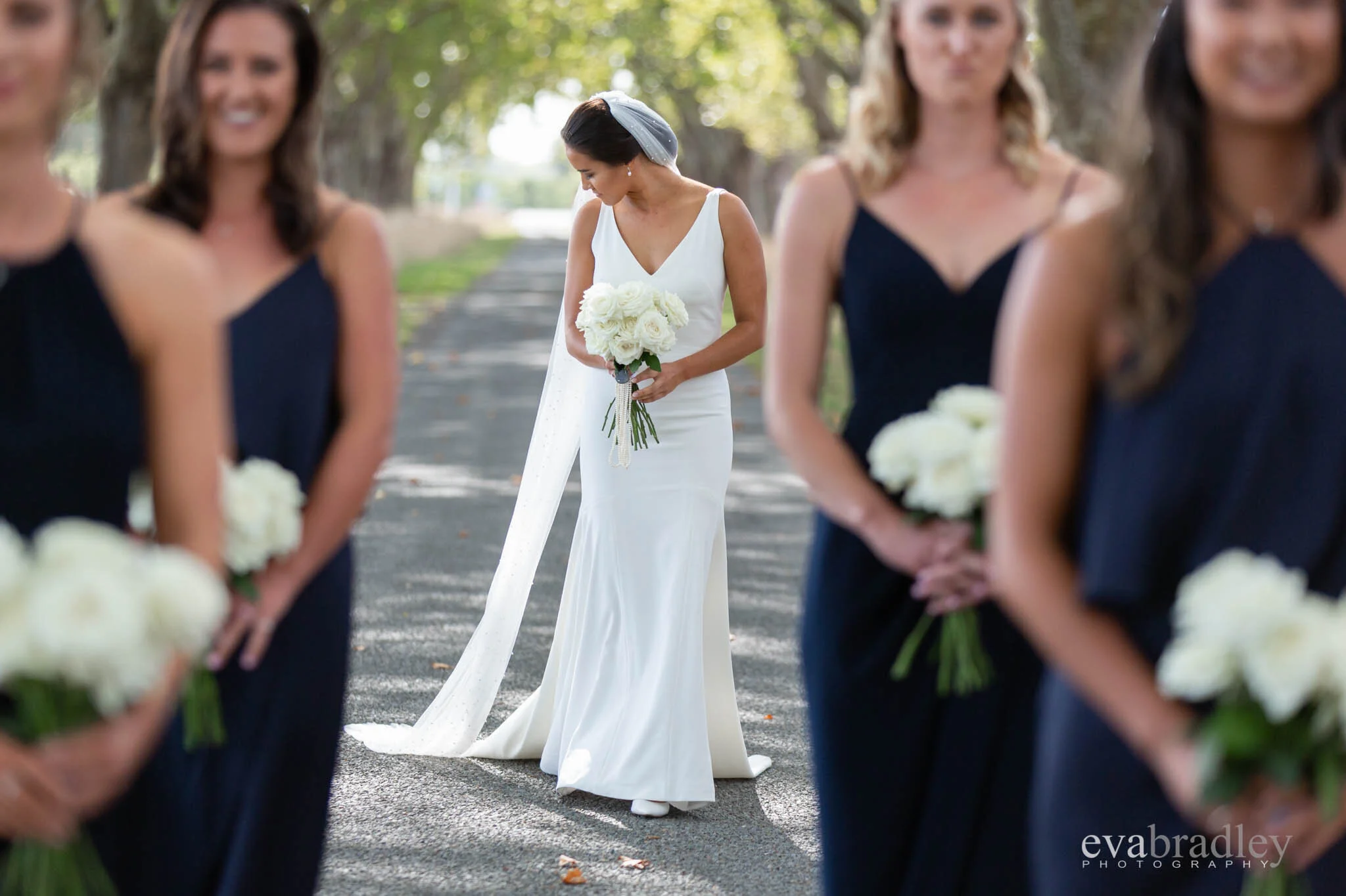 hawkes-bay-photographers