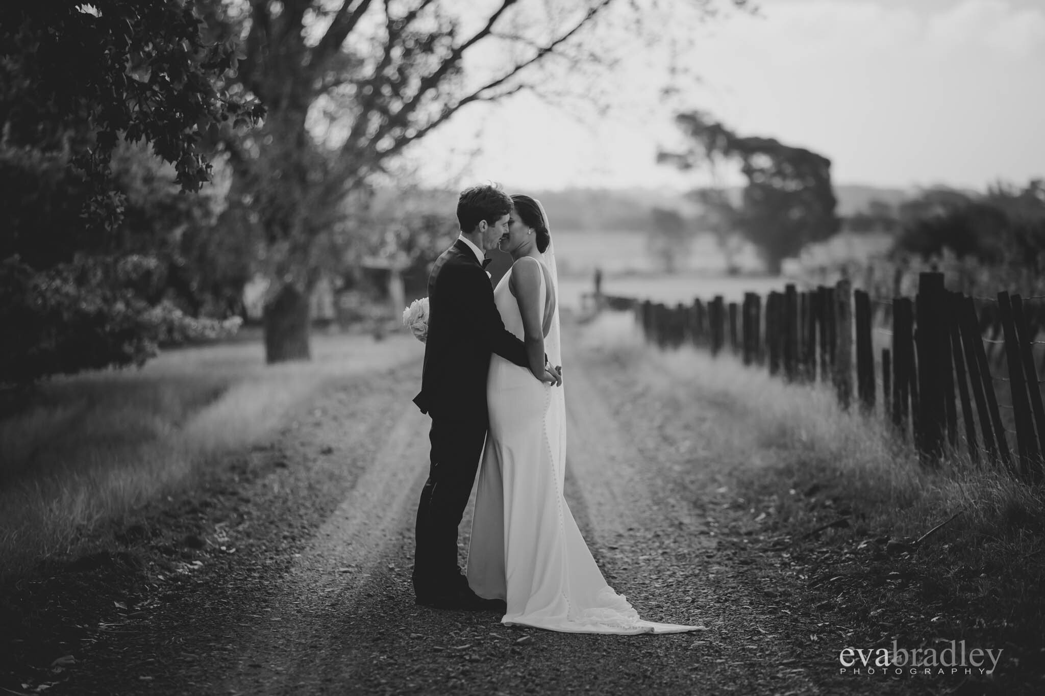 best-hawkes-bay-wedding-photographers