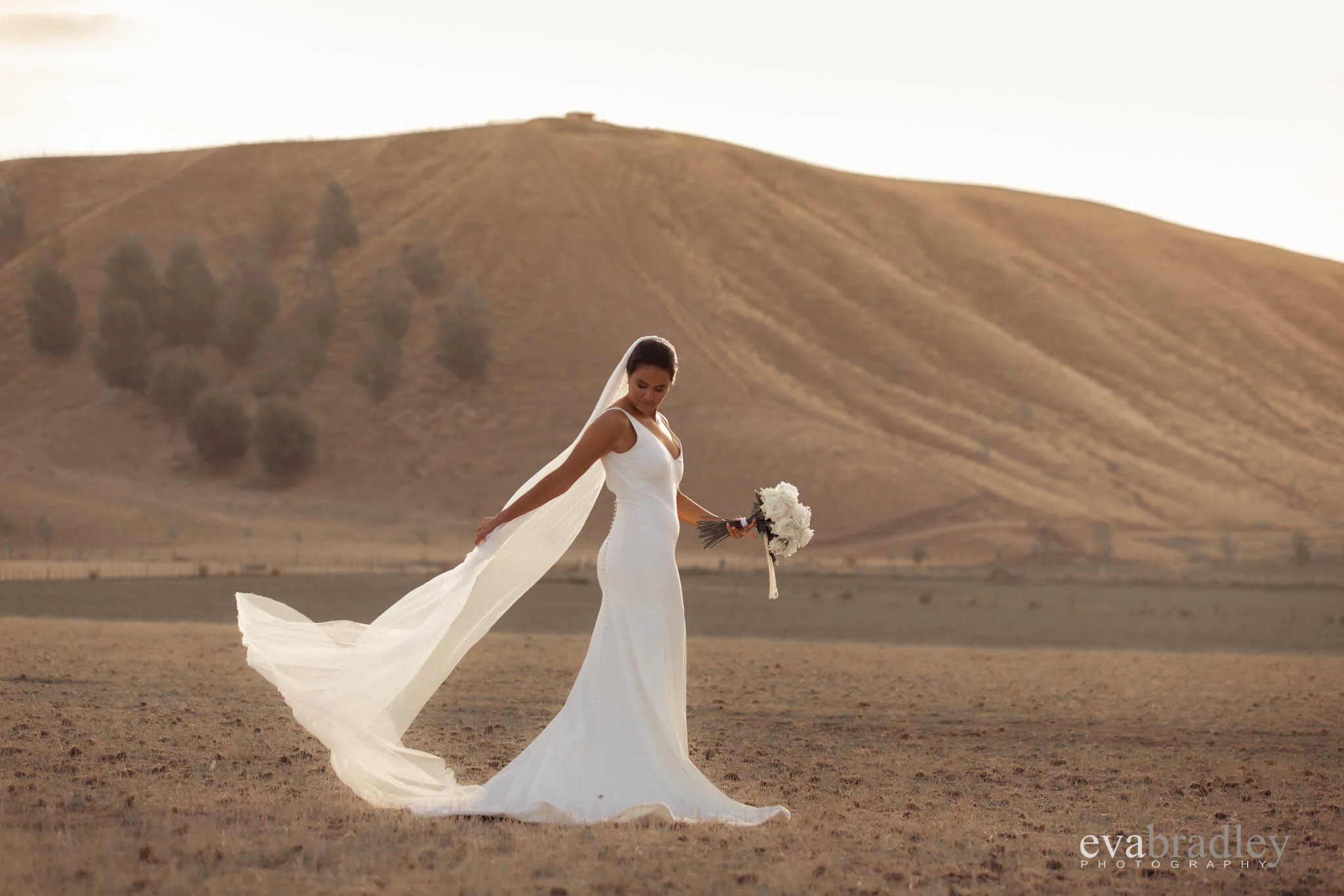 top-hawkes-bay-garden-wedding-venues