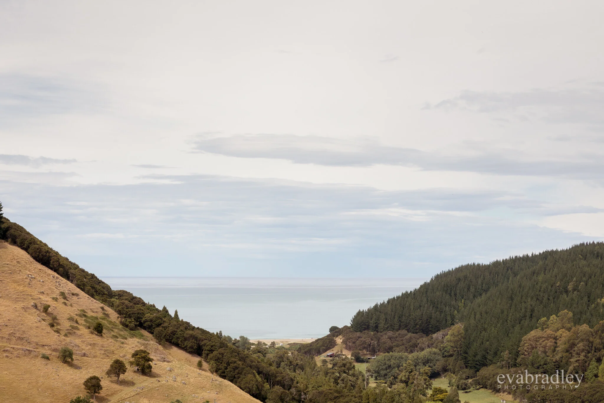 waipatiki beach hawkes bay 1