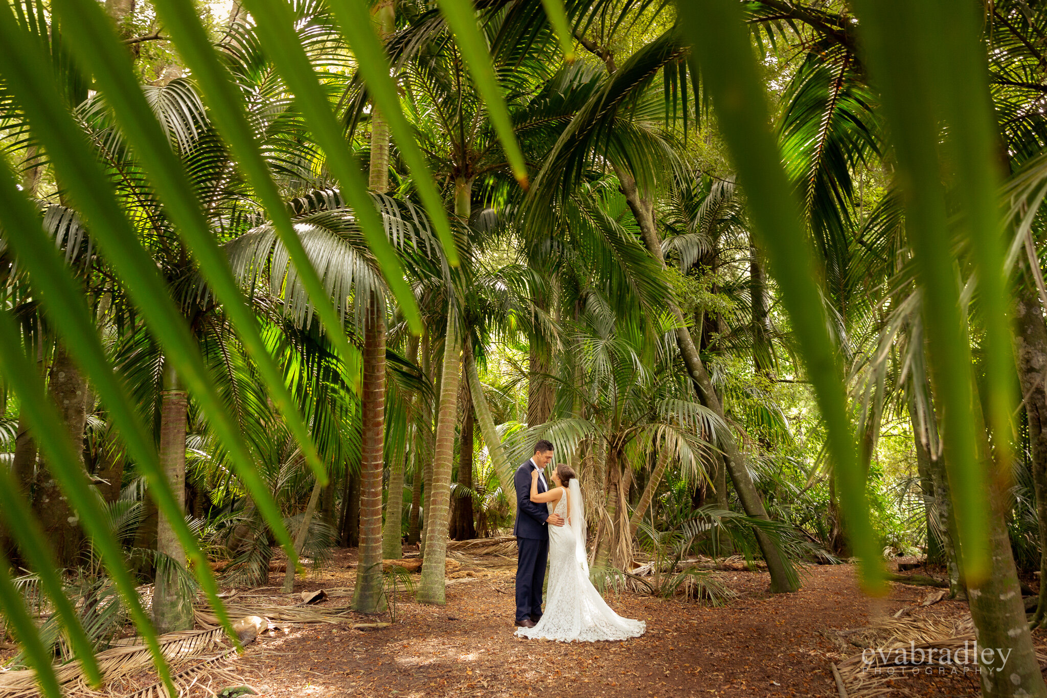 wedding at waipatiki beach nikau forest