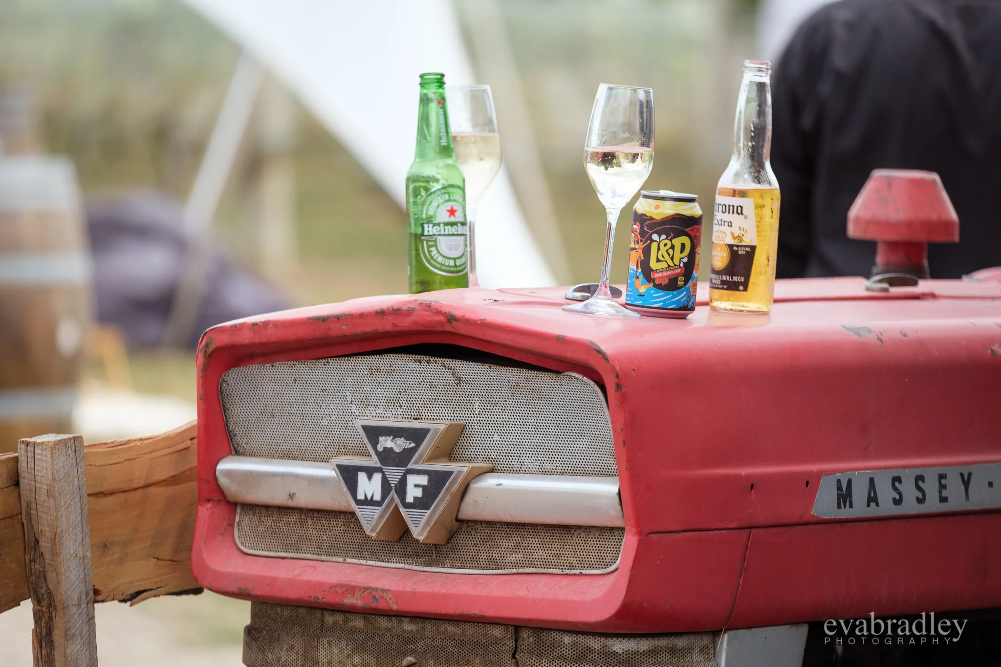 backyard DIY wedding