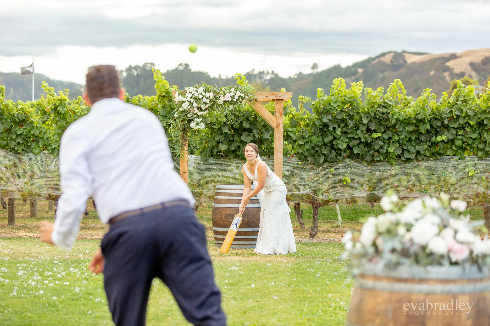 backyard cricket hawkes bay weddings