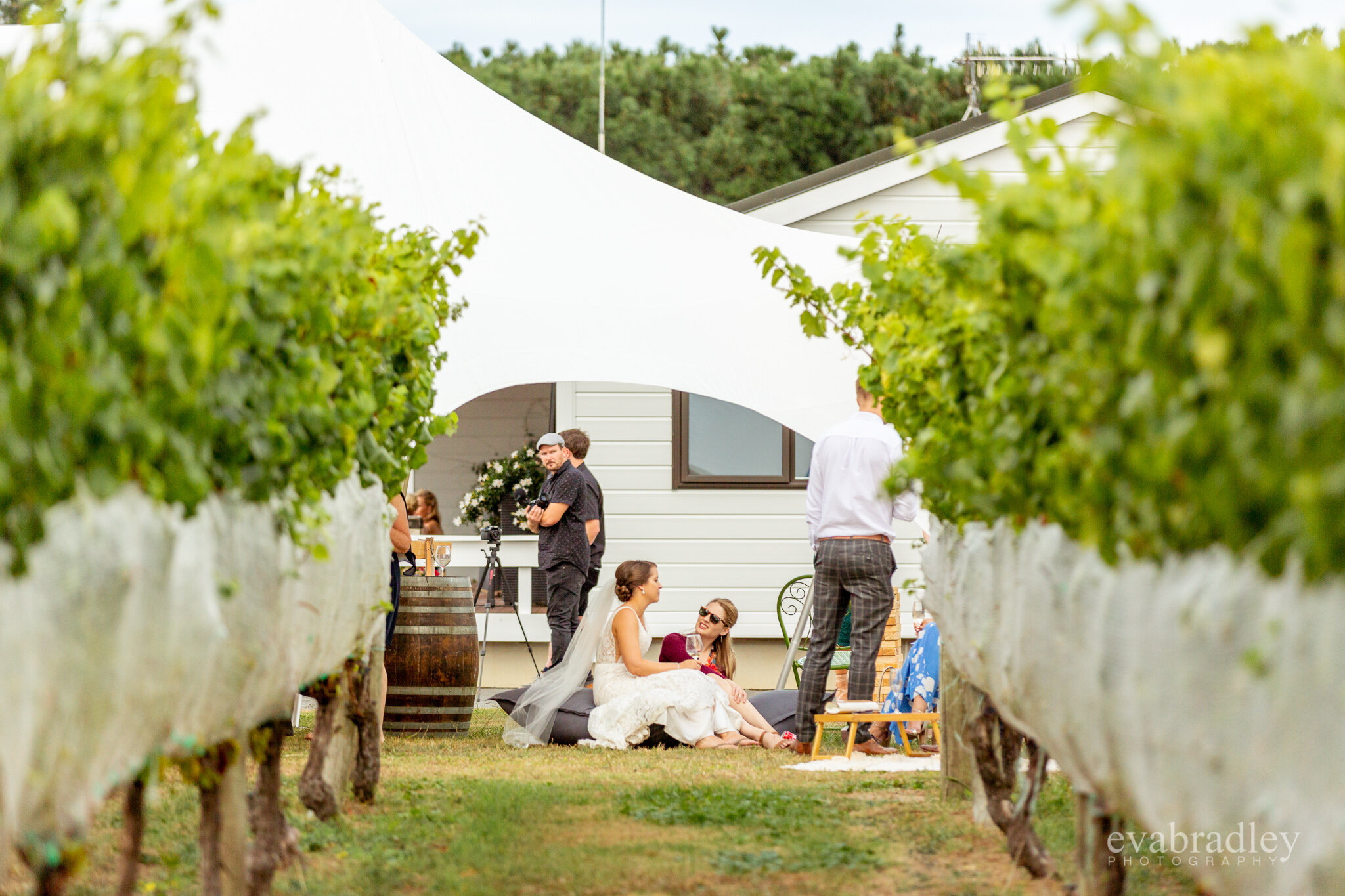 hawkes bay vineyard winery wedding