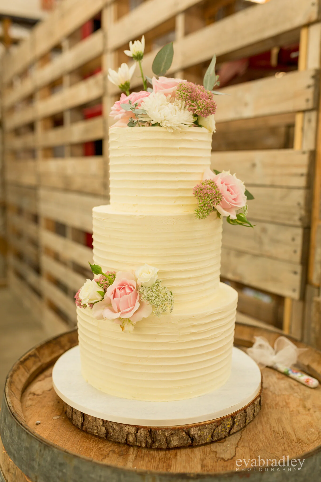 Cindys cakes napier Hastings nz