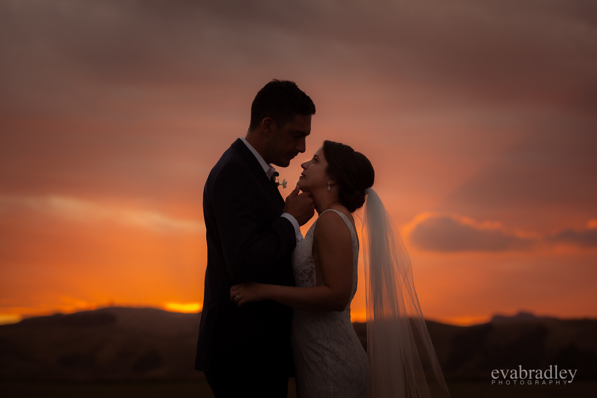 best nz wedding photographers 2019 2020