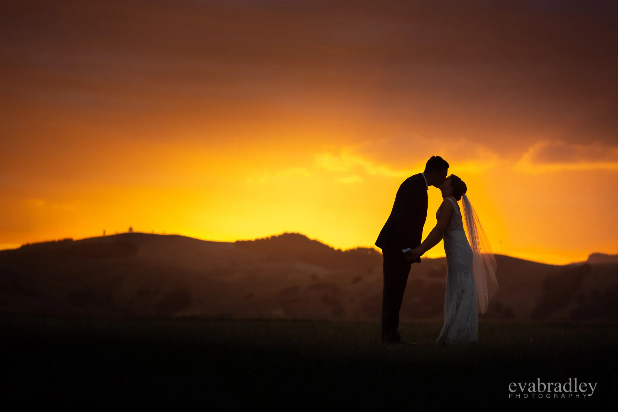 best wedding photographers 2019