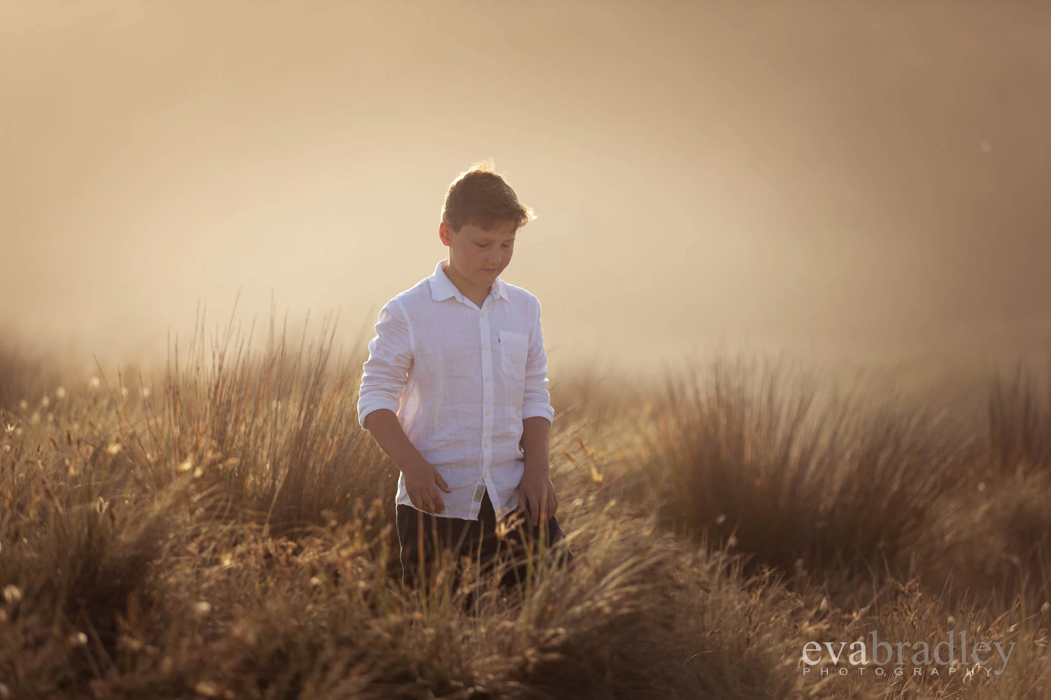 Napier-photographers