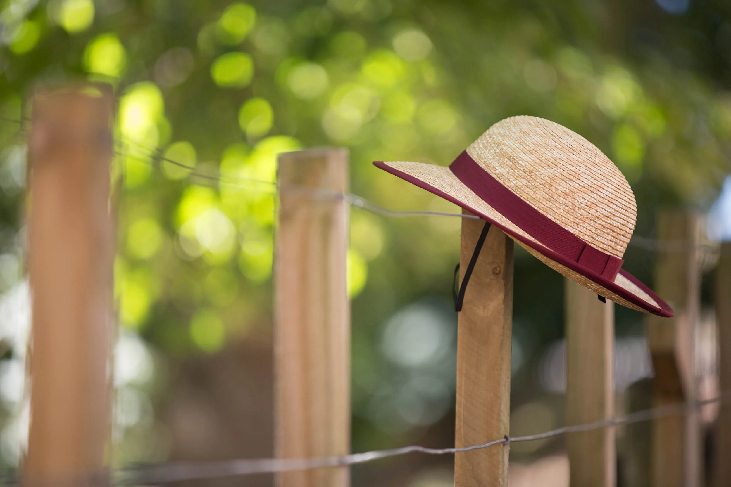 eva-bradley-hawkes-bay