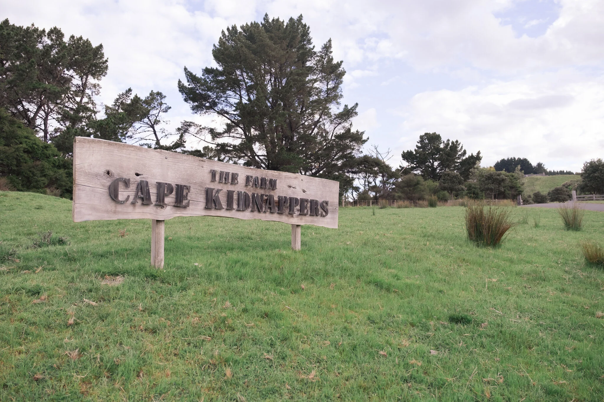 wedding photography hawkes bay