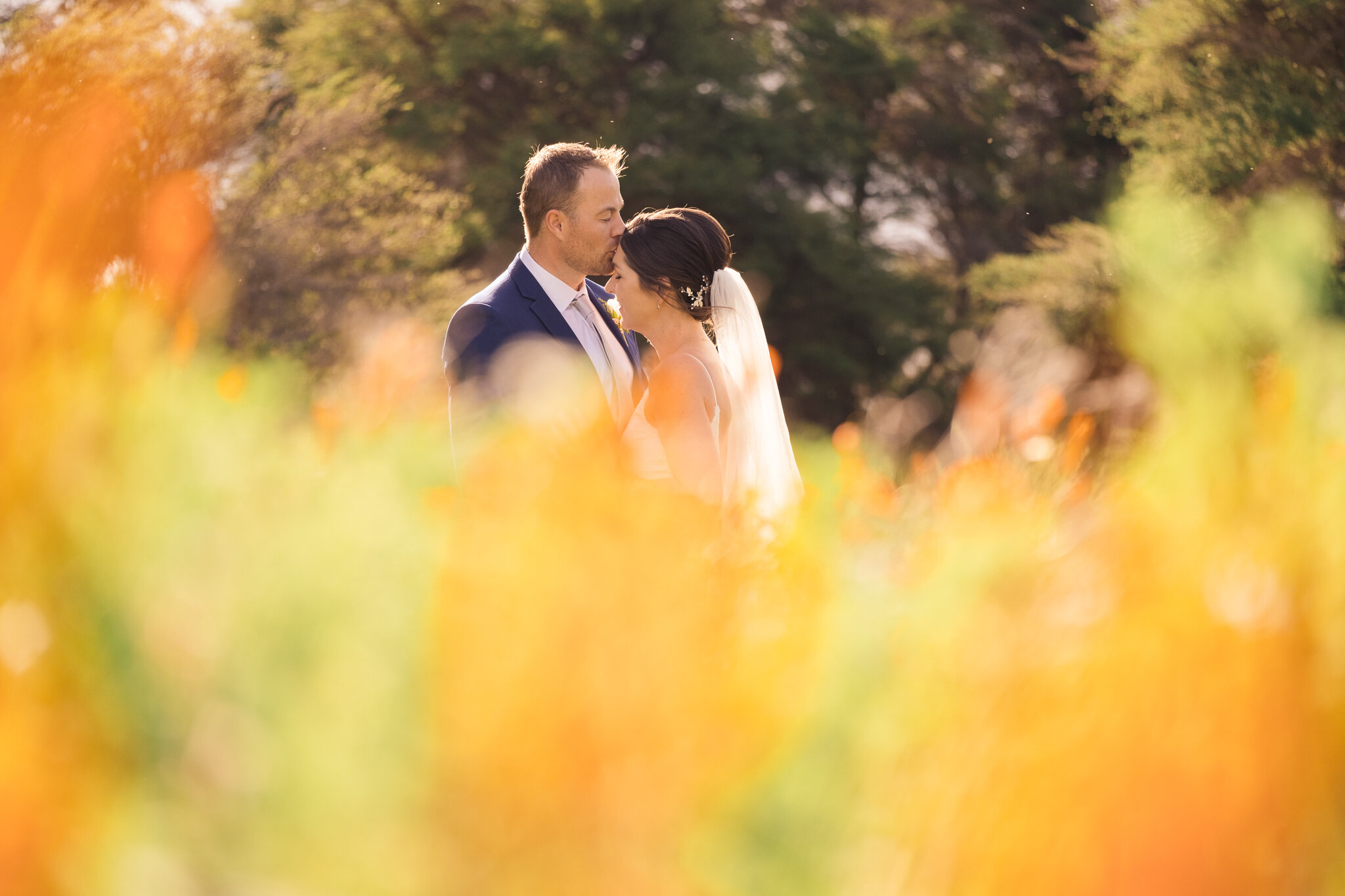 new zealand wedding photographer