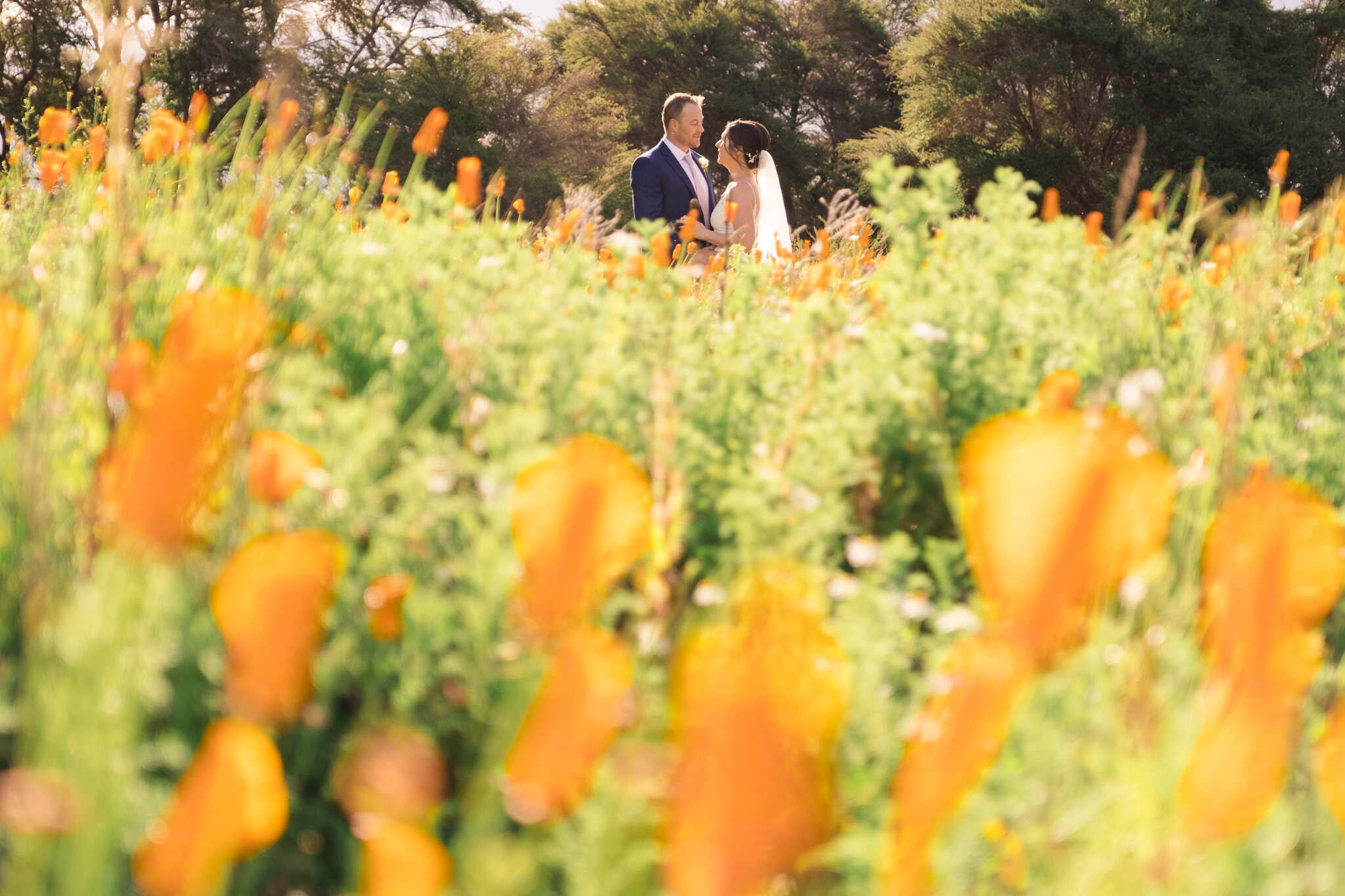 elopements new zealand