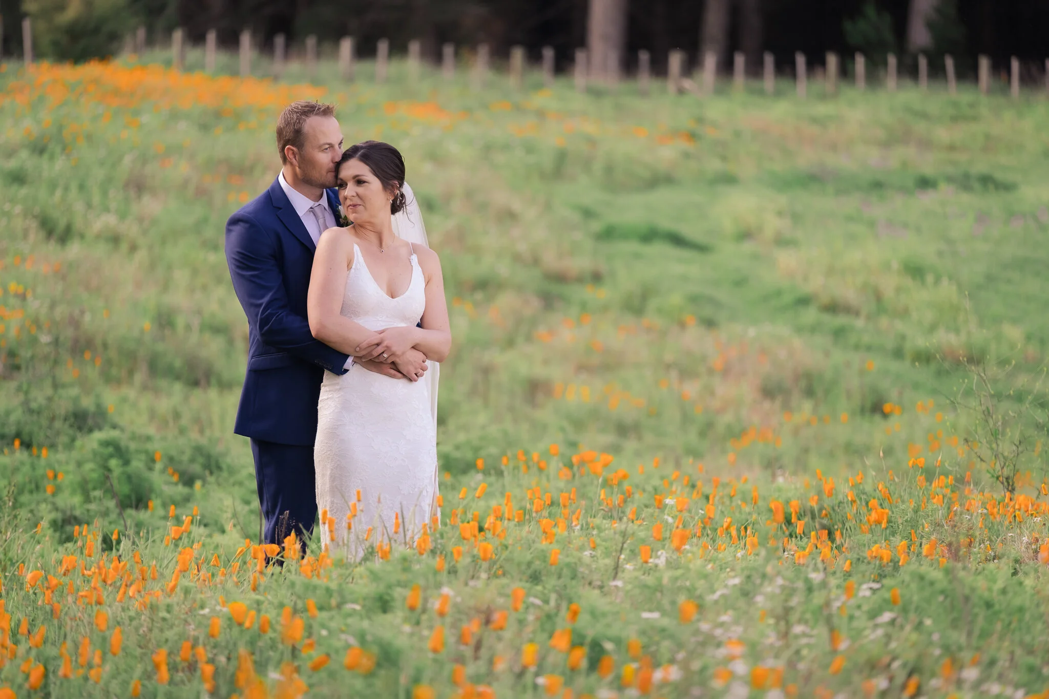 napier wedding photographer