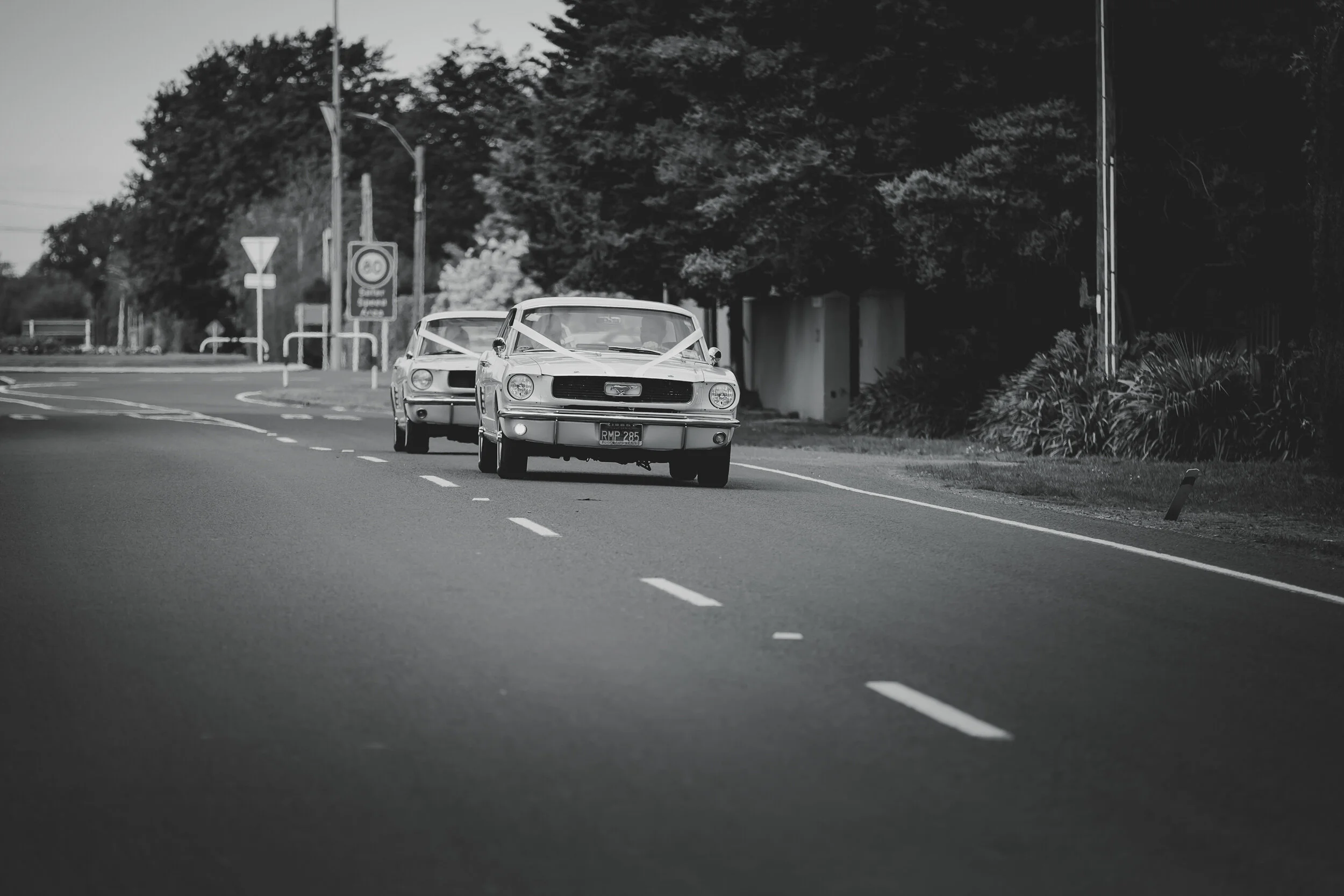 Napier photographer nz