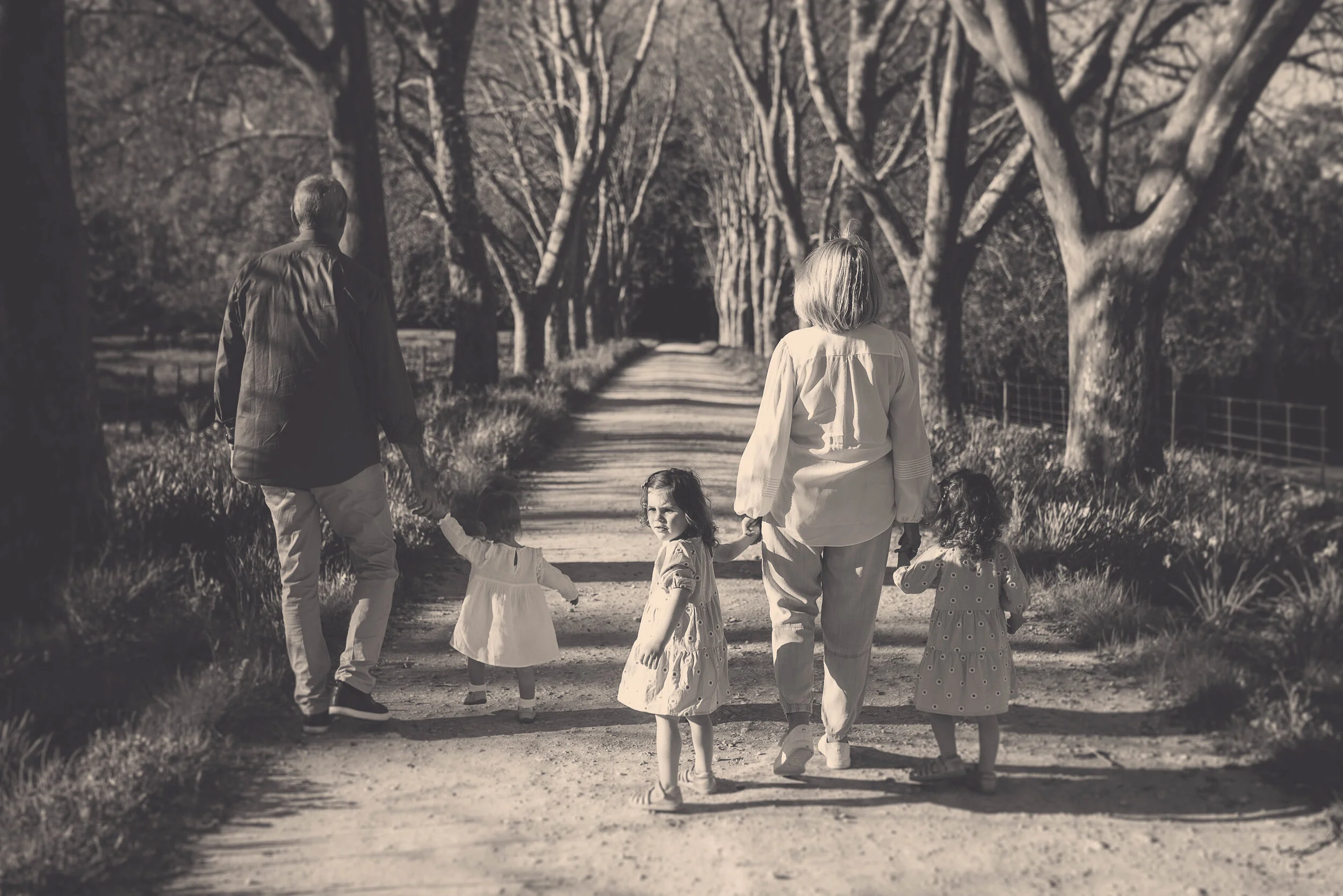 hawkes bay photographers