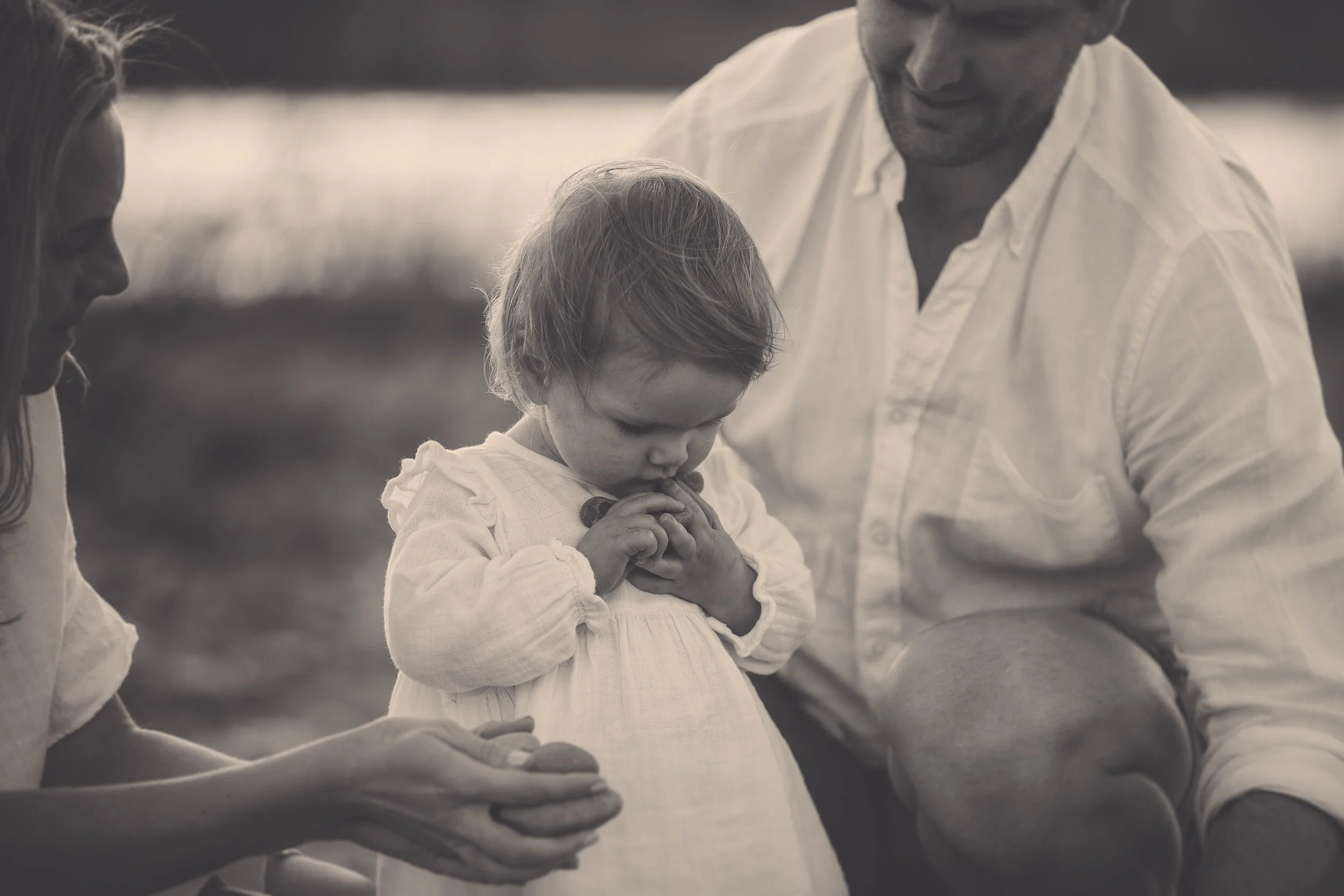 best napier photographer