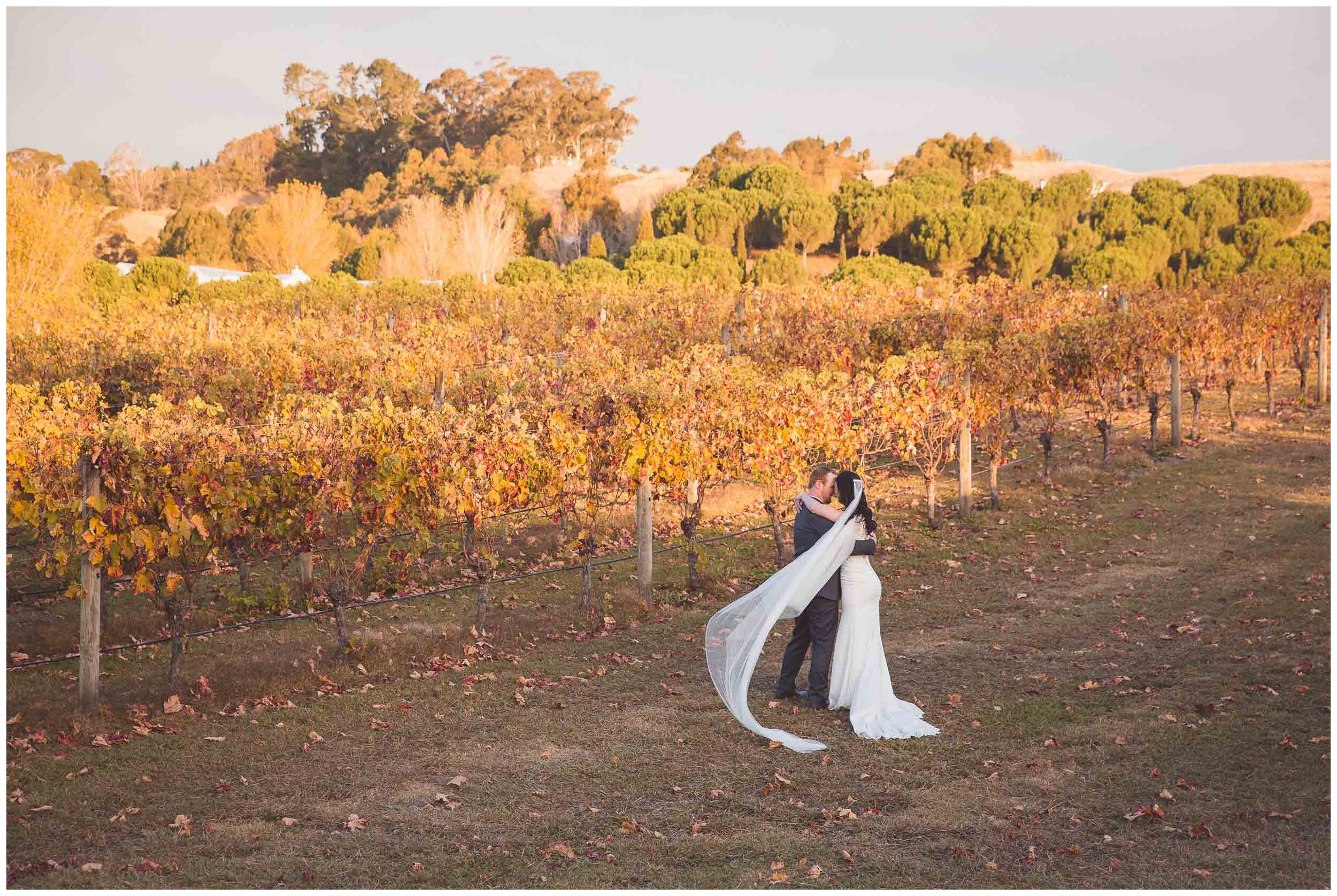 eva-hawkes-bay-wedding-photographer-black-barn