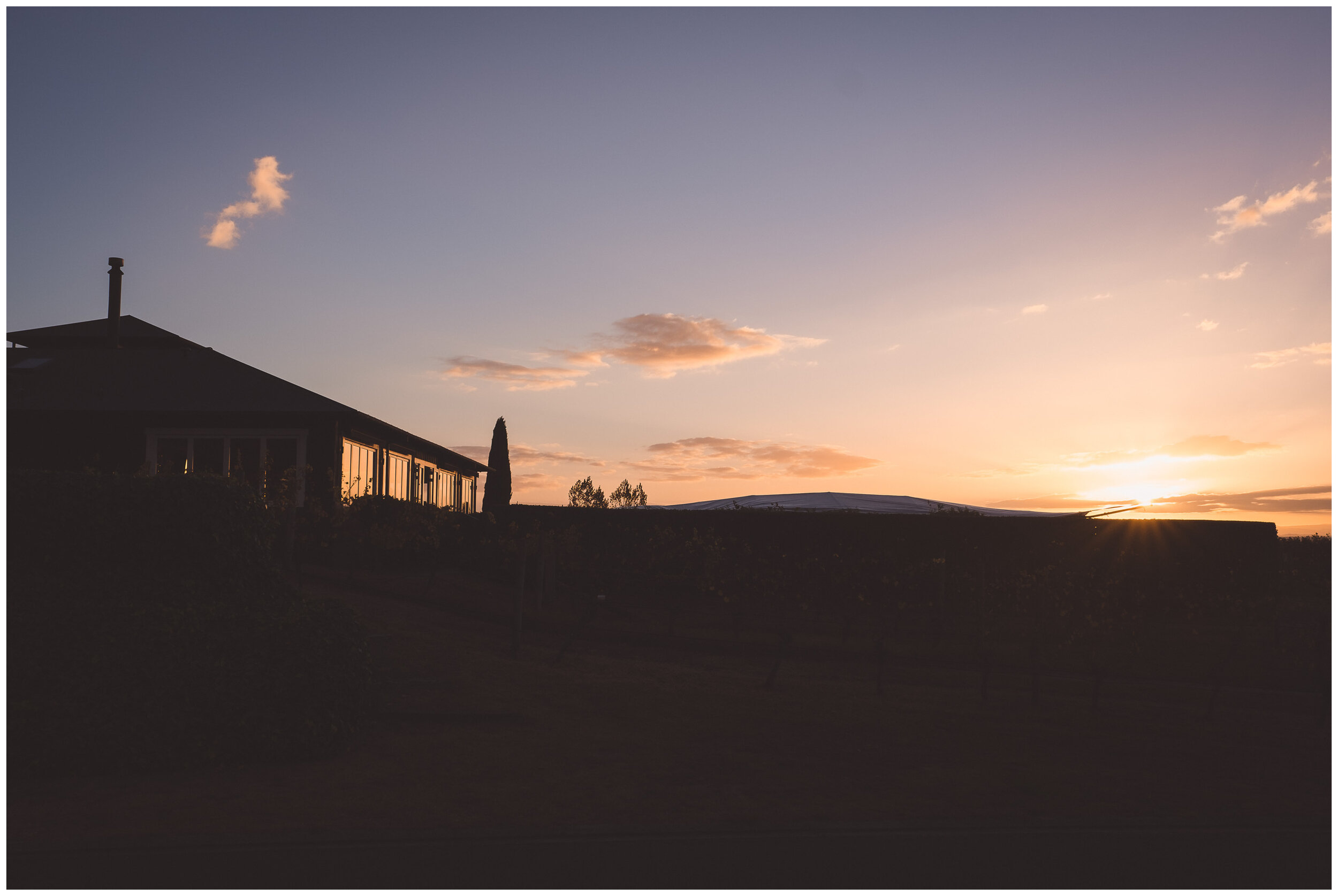 black-barn-winery-hawkes-bay-nz