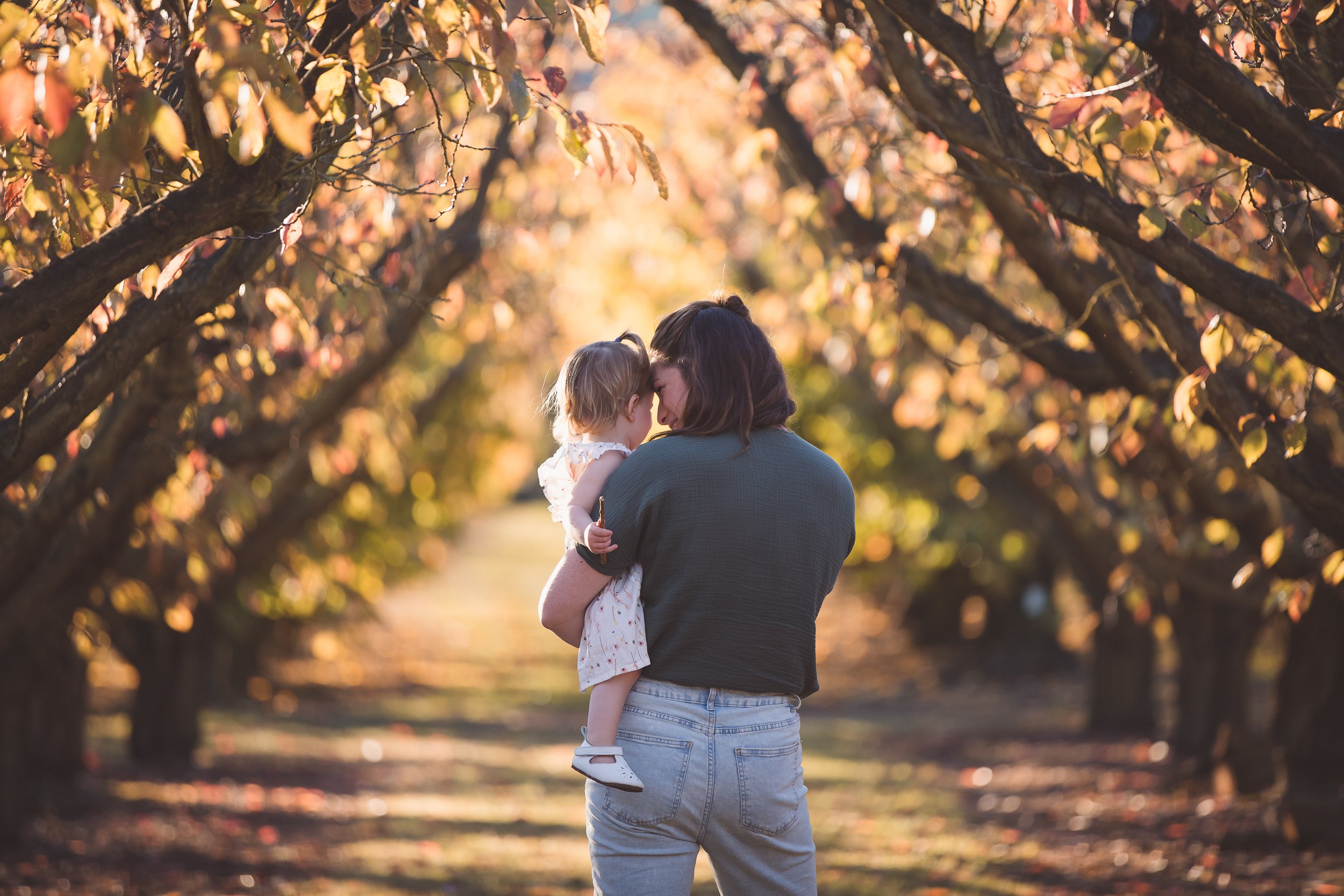 photographers-in-hawkes-bay