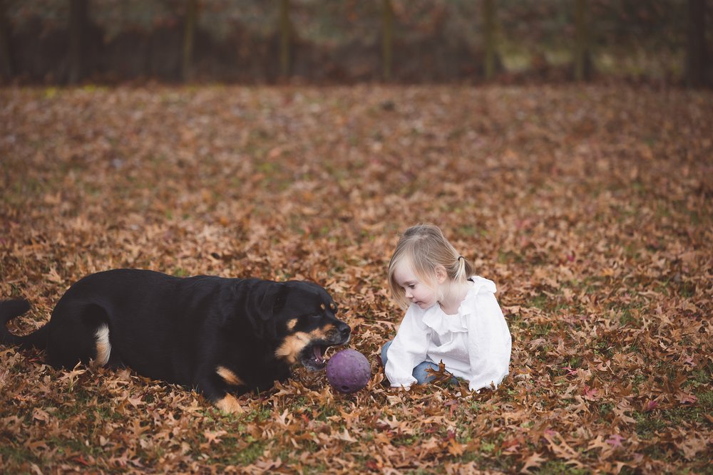 Hastings-newborn-photographer-hawkes-bay