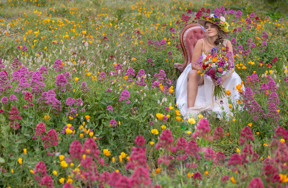 hawkes-bay-wedding-photographers-wildflower