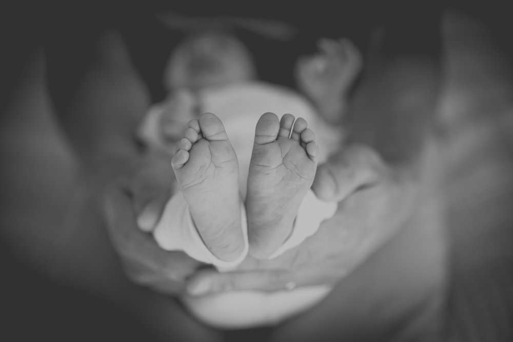 newborn-photography-feet-napier