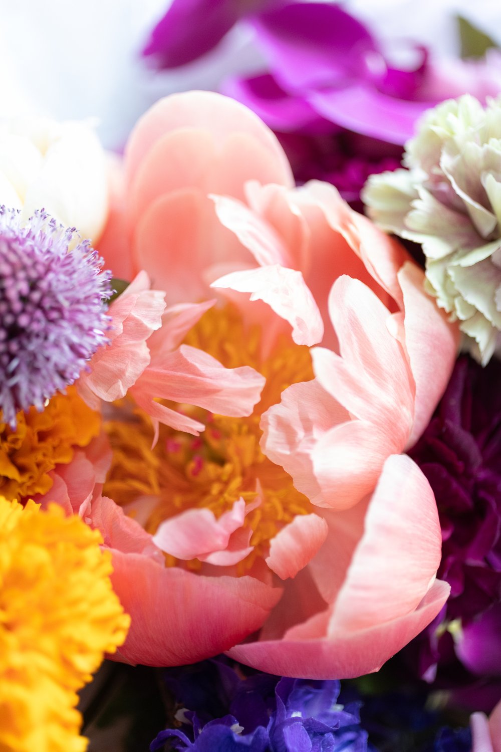 peonies-wedding-bouquet-napier