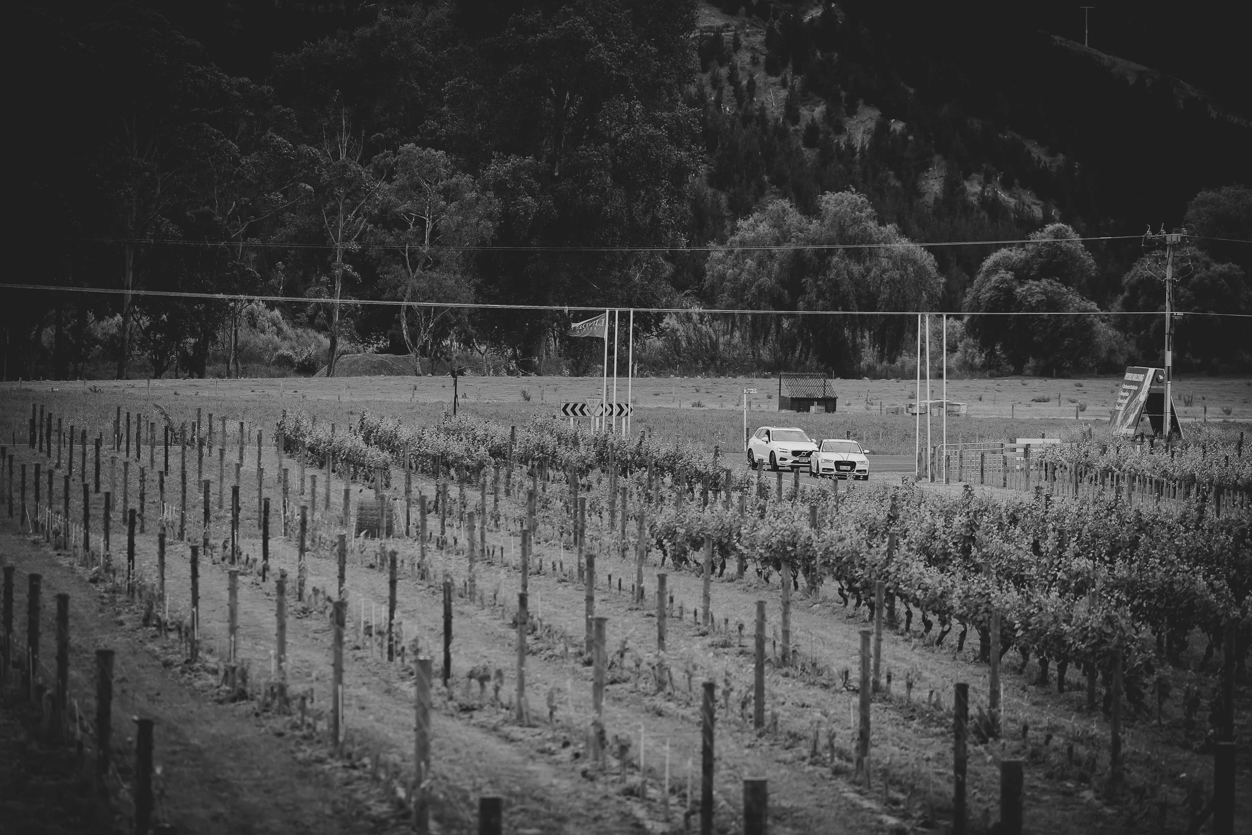 Hawkes-bay-wedding-vehicles