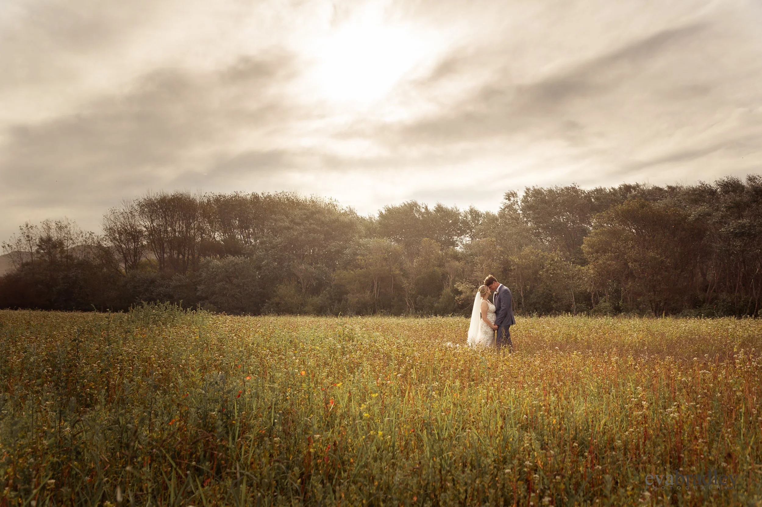 bride-and-groom-in-meadow-hawkes-bay-wedding-venues