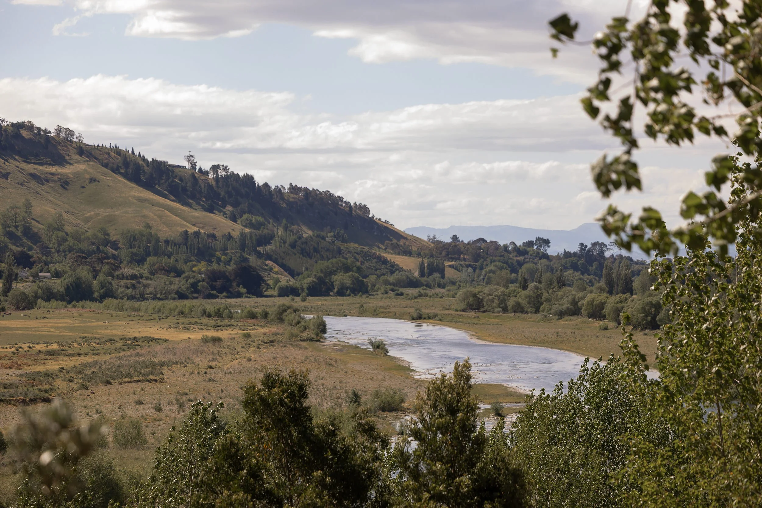 view-of-tukituki-valley-by-hawkes-bay-wedding-photographer