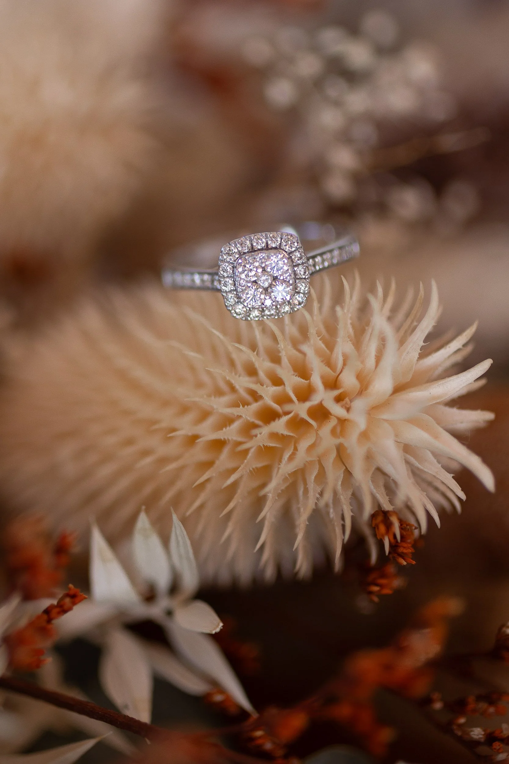 engagement-ring-at-a-hawkes-bay-wedding