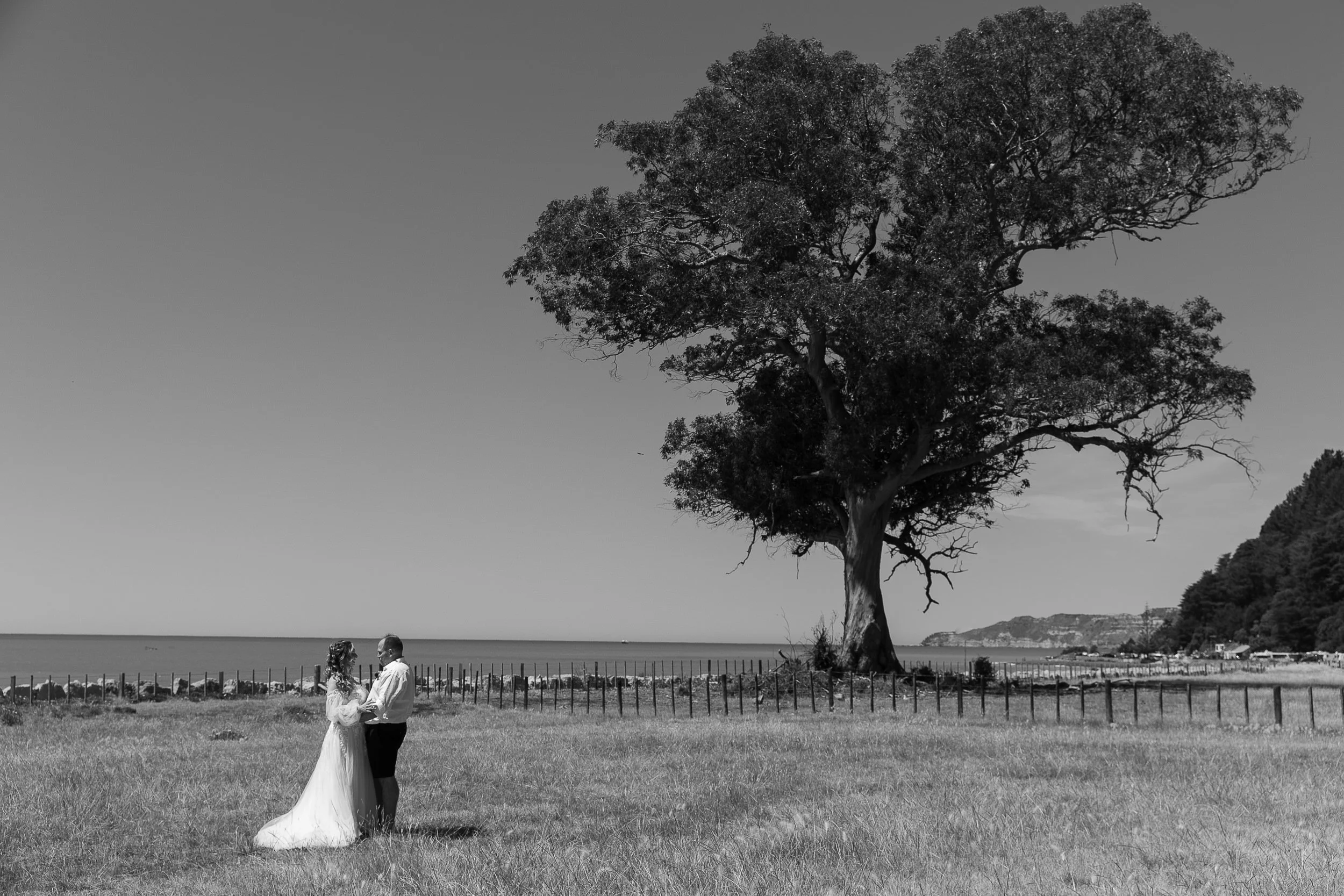 hawkes-bay-photographers