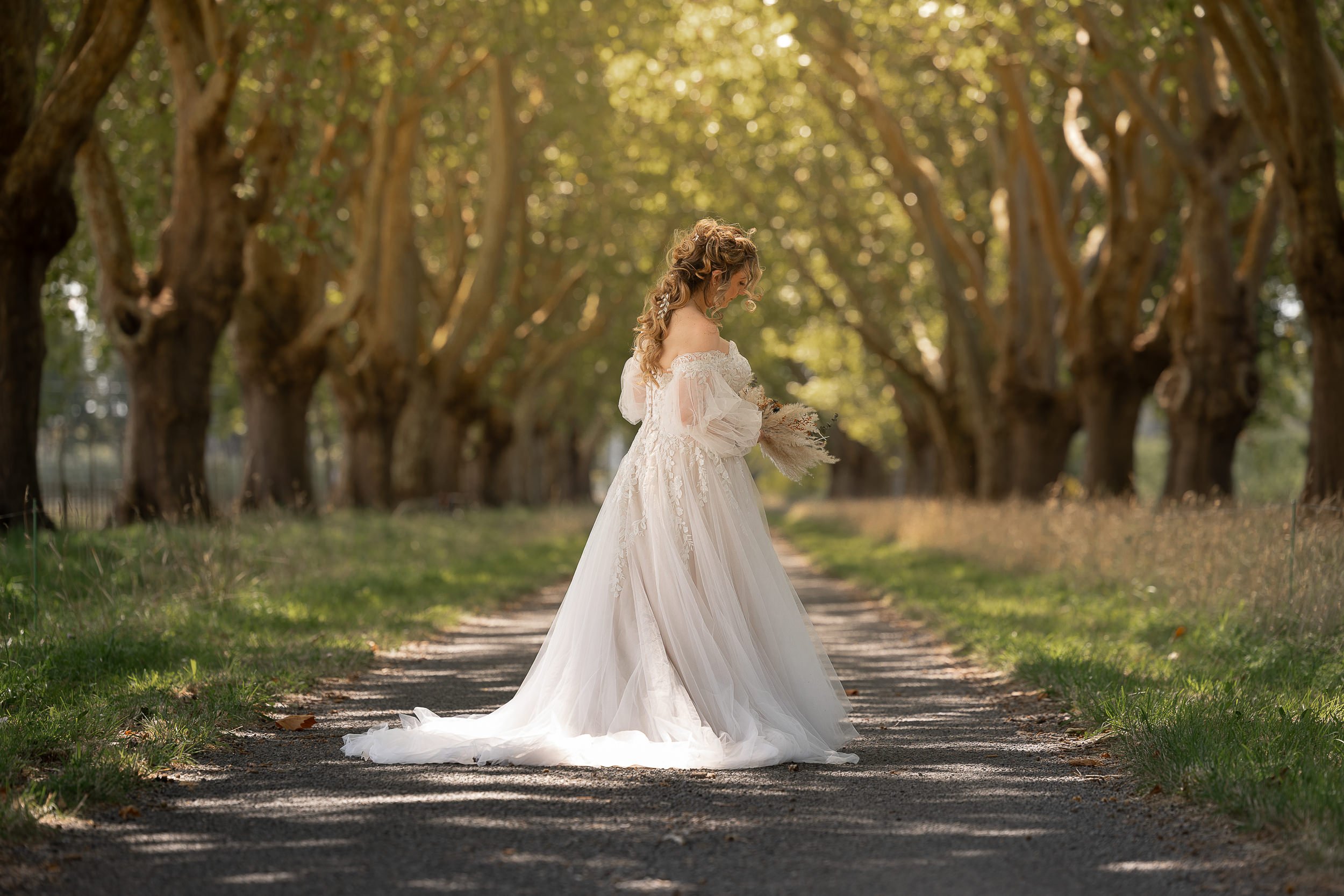 bride-in-forest-by-napier-photographer-eva-bradley