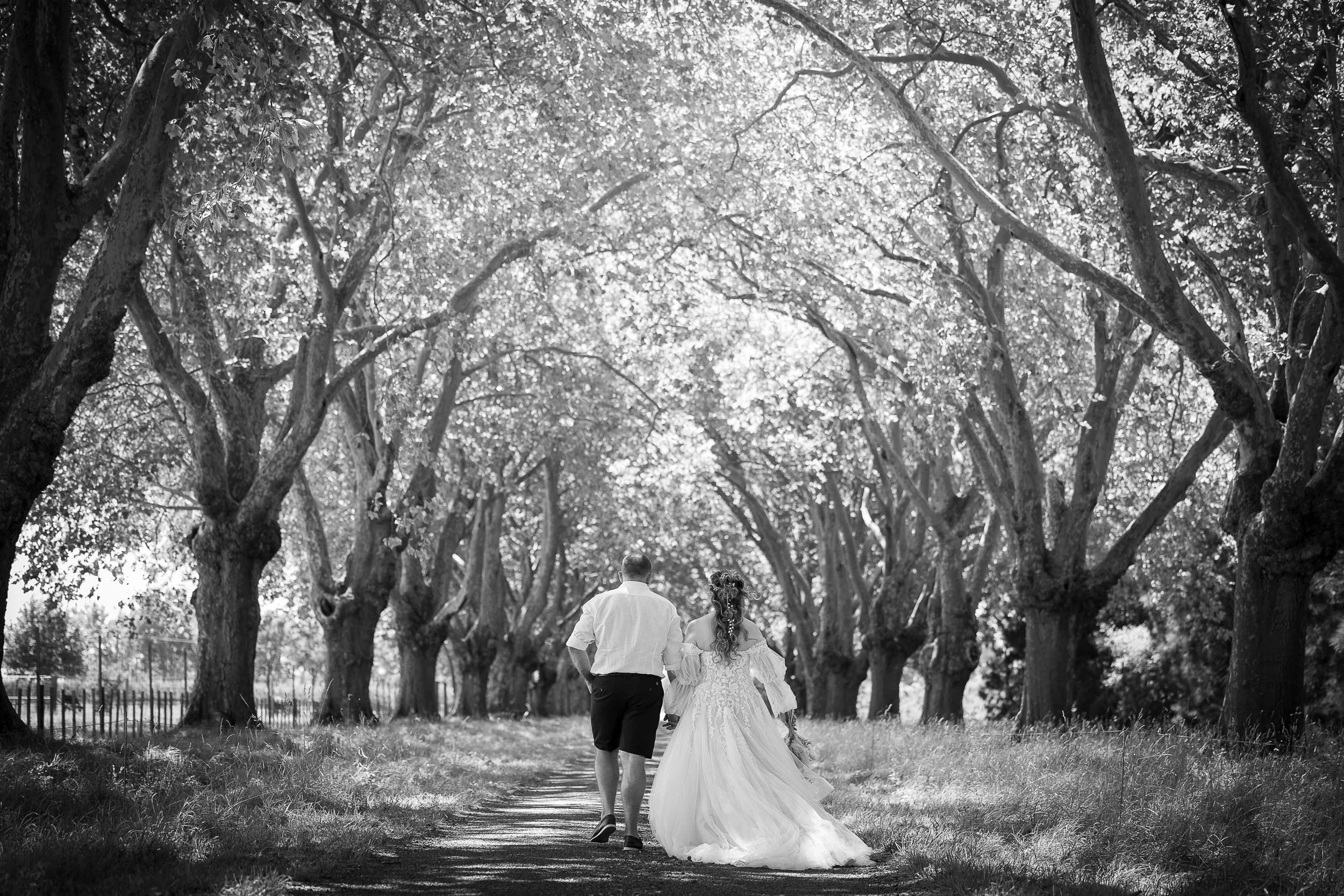black-and-white-napier-wedding-photography-photo