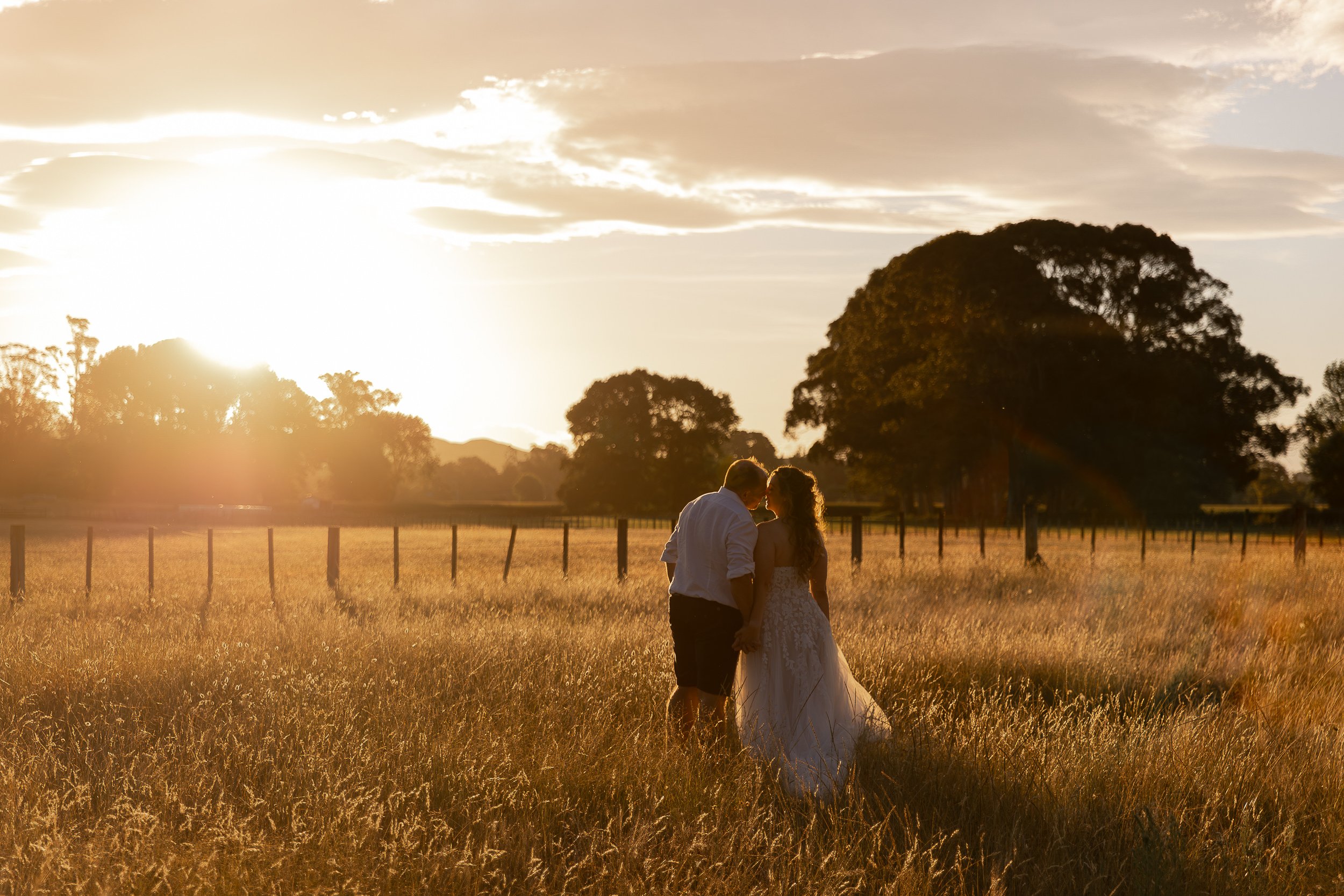 golden-hour-wedding-photography-by-napier-photographer-eva-bradley