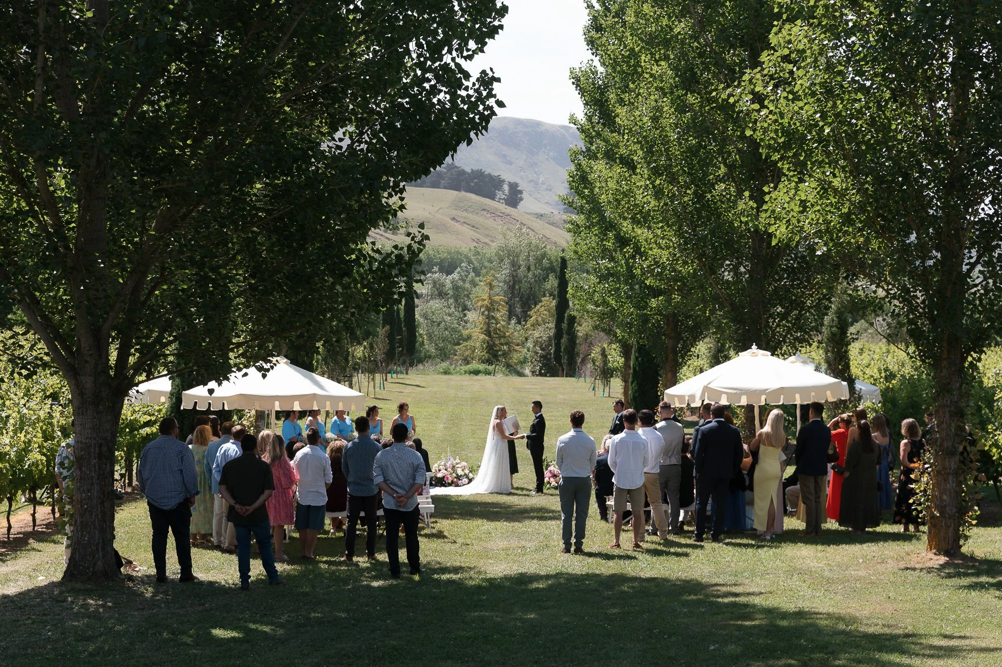 A garden wedding in the tukituki valley. This page is about prices for Eva Bradley Photography, top and best photographer in Hawke's Bay for weddings