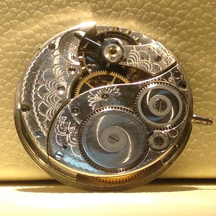 Beautiful Movements (and other fun stuff) On Display