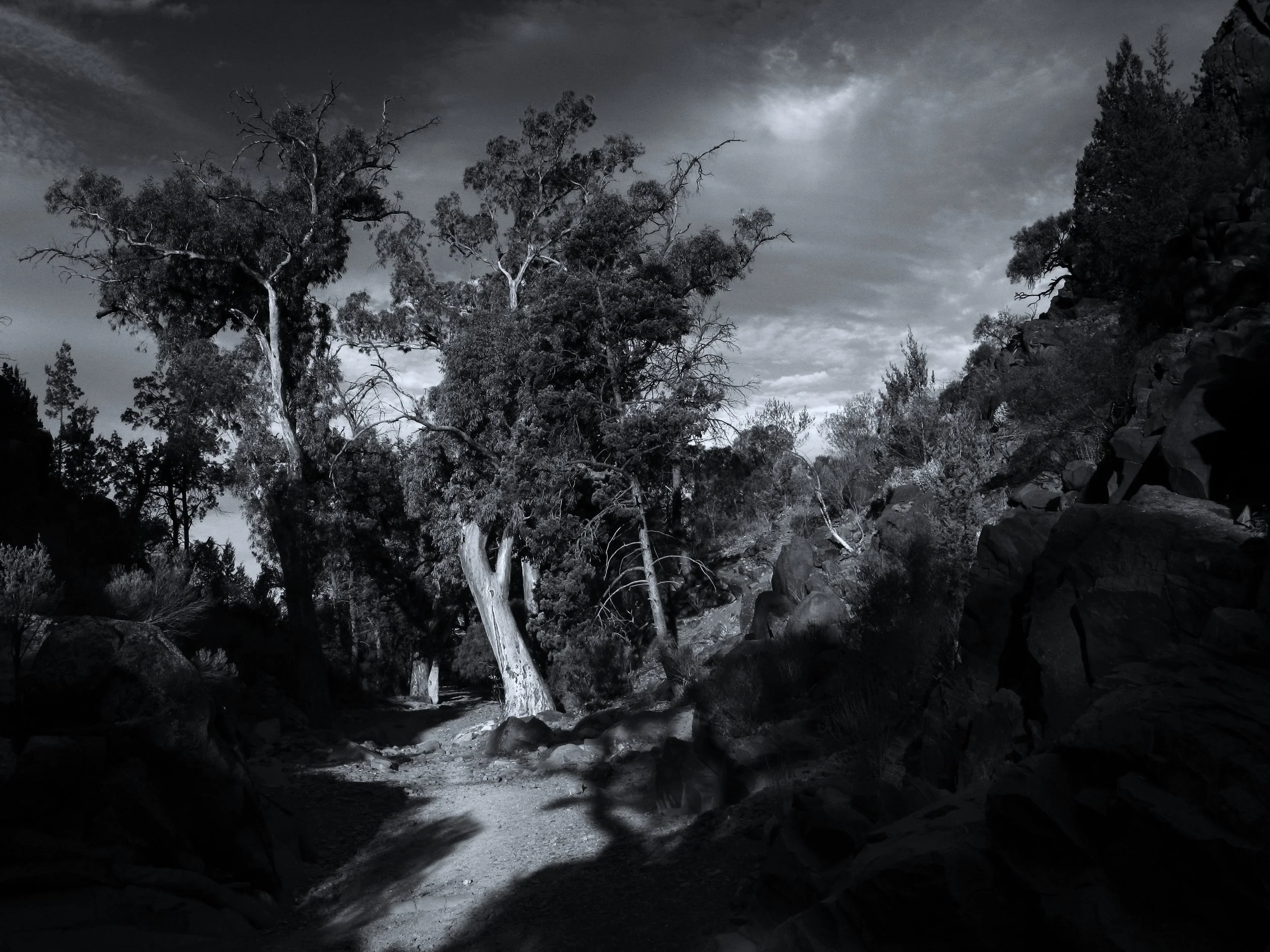 Sacred Canyon - Australia