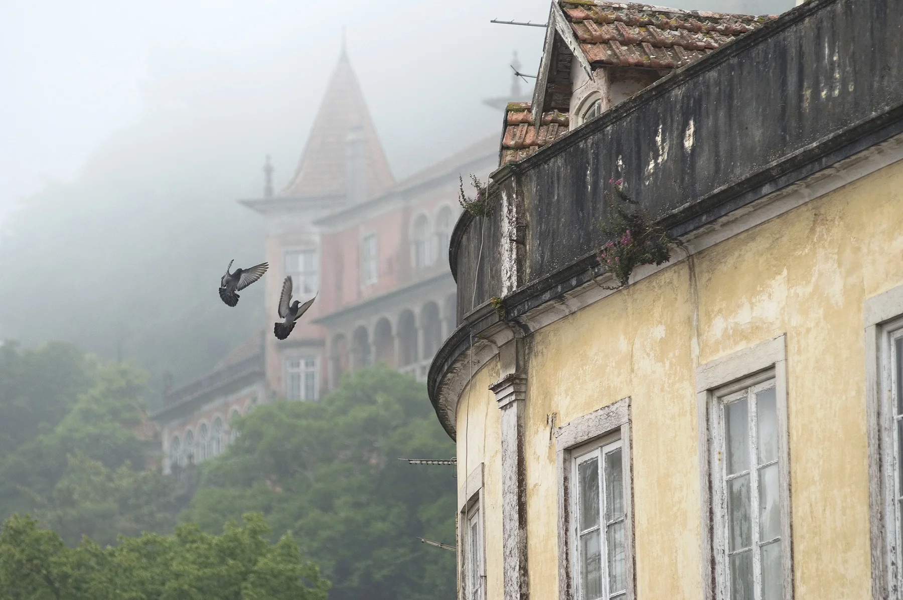 Sintra-00020.jpg